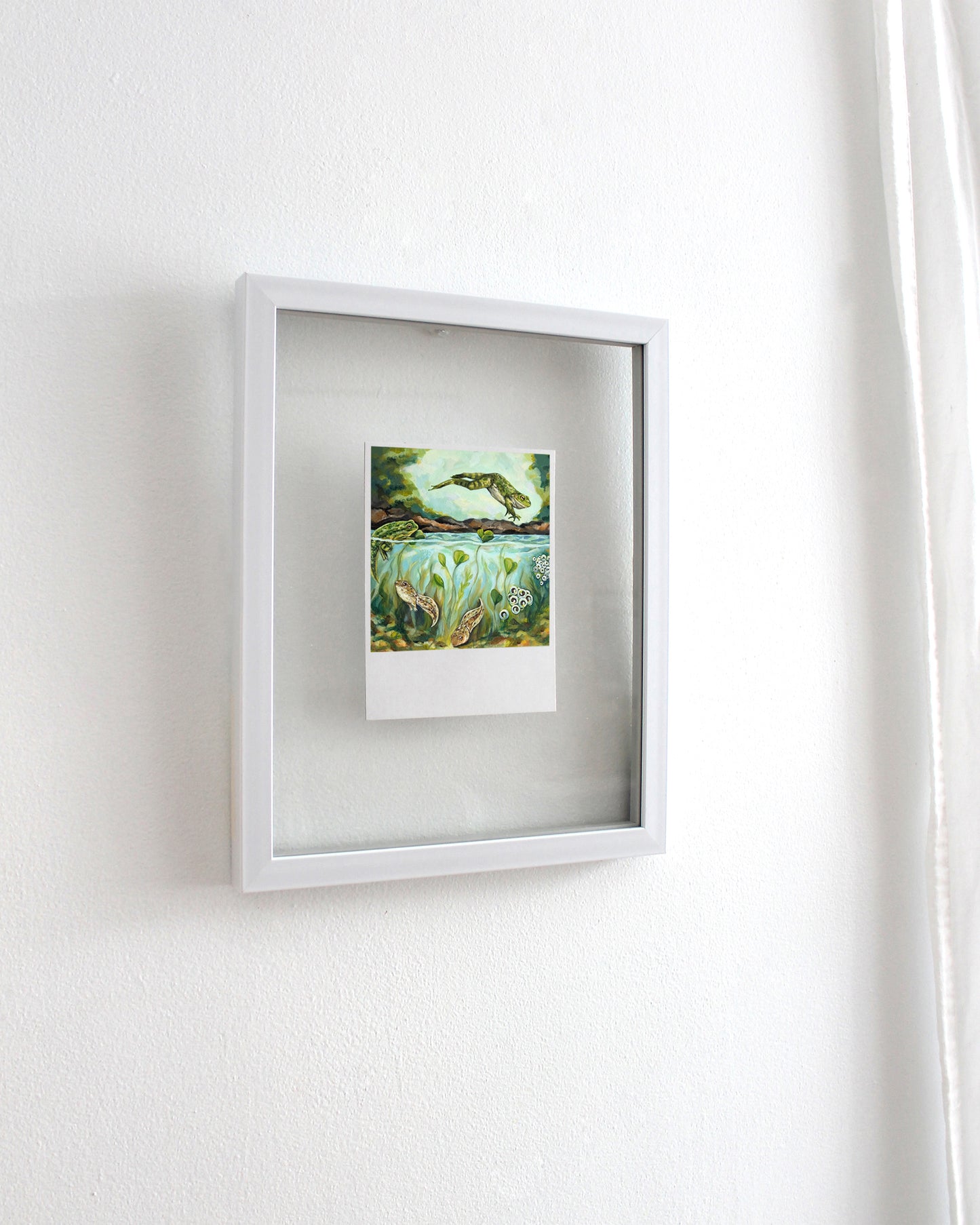 Frog Life Cycle - Polaroid