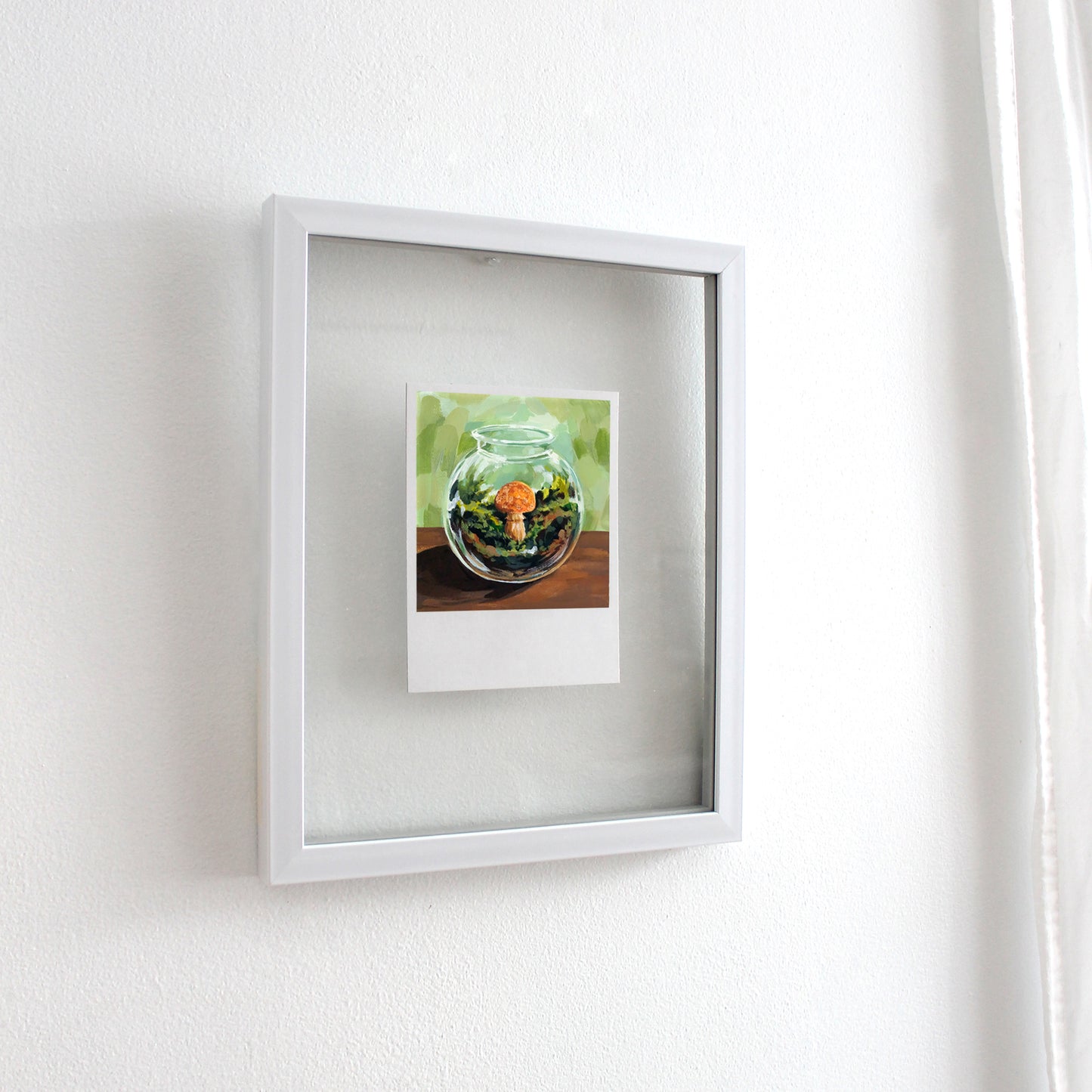 Comfort Zone - Polaroid
