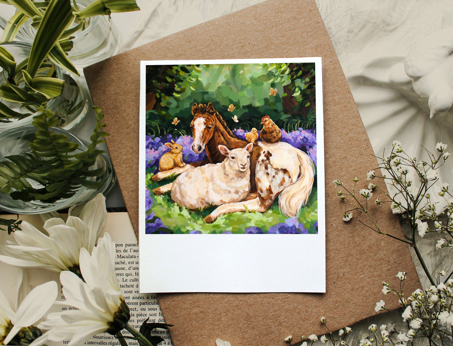 Safe Haven - Polaroid