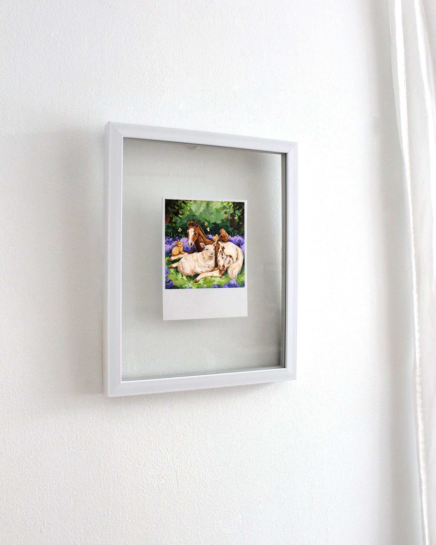 Safe Haven - Polaroid
