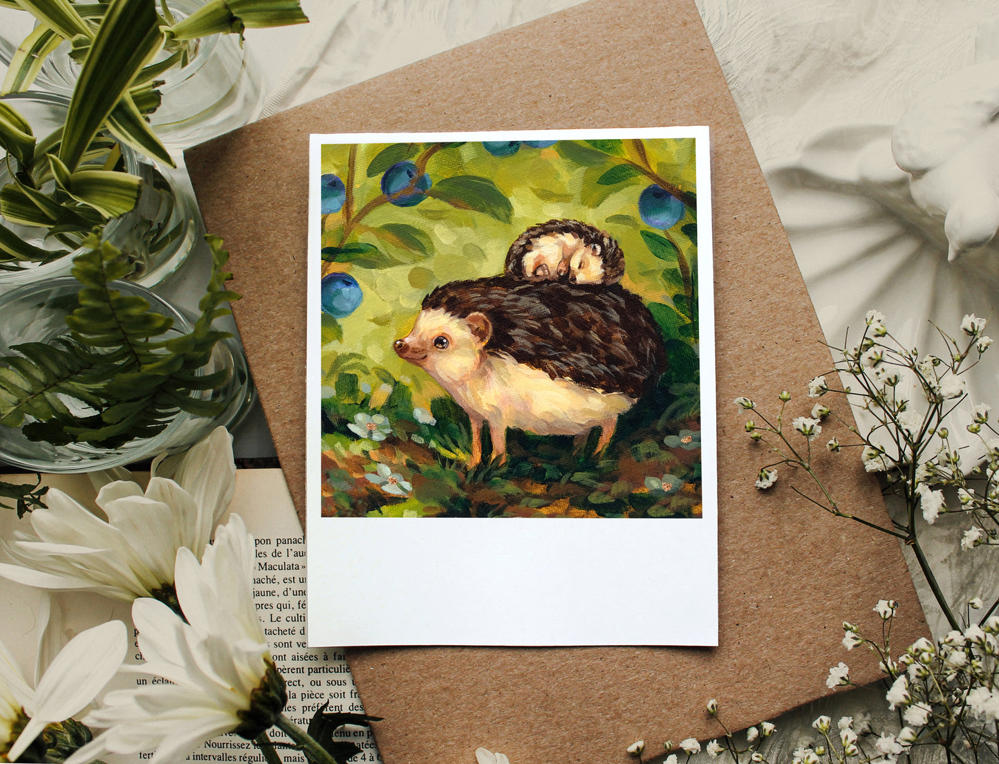 Hedgehogs - Polaroid