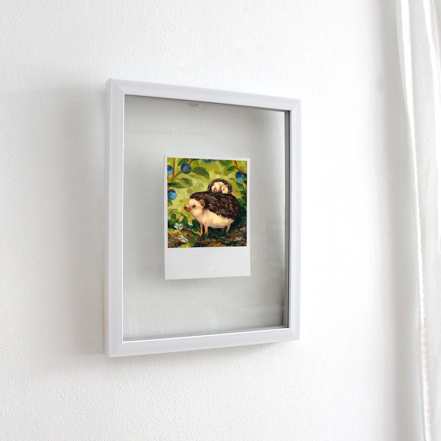 Hedgehogs - Polaroid