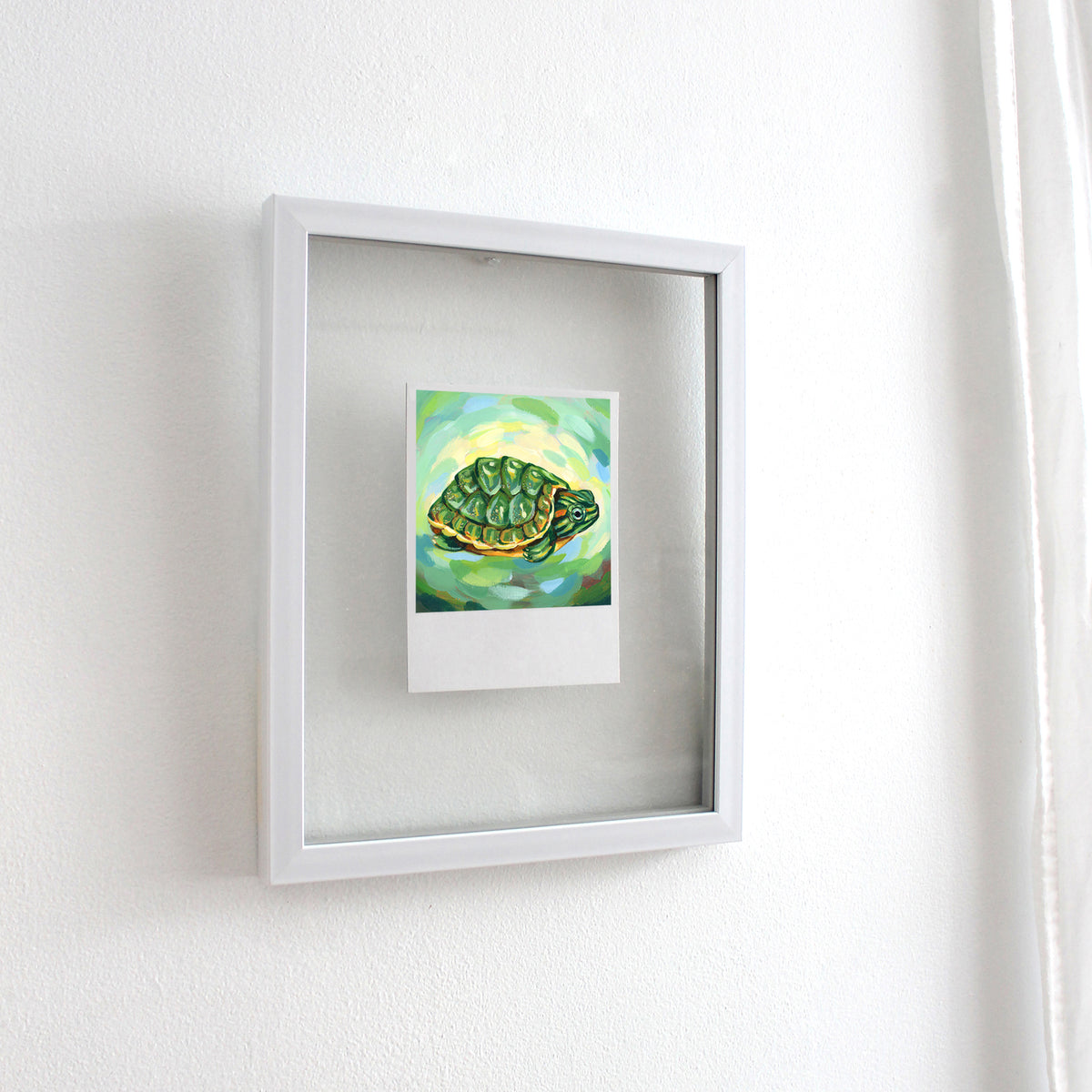Turtle - Polaroid