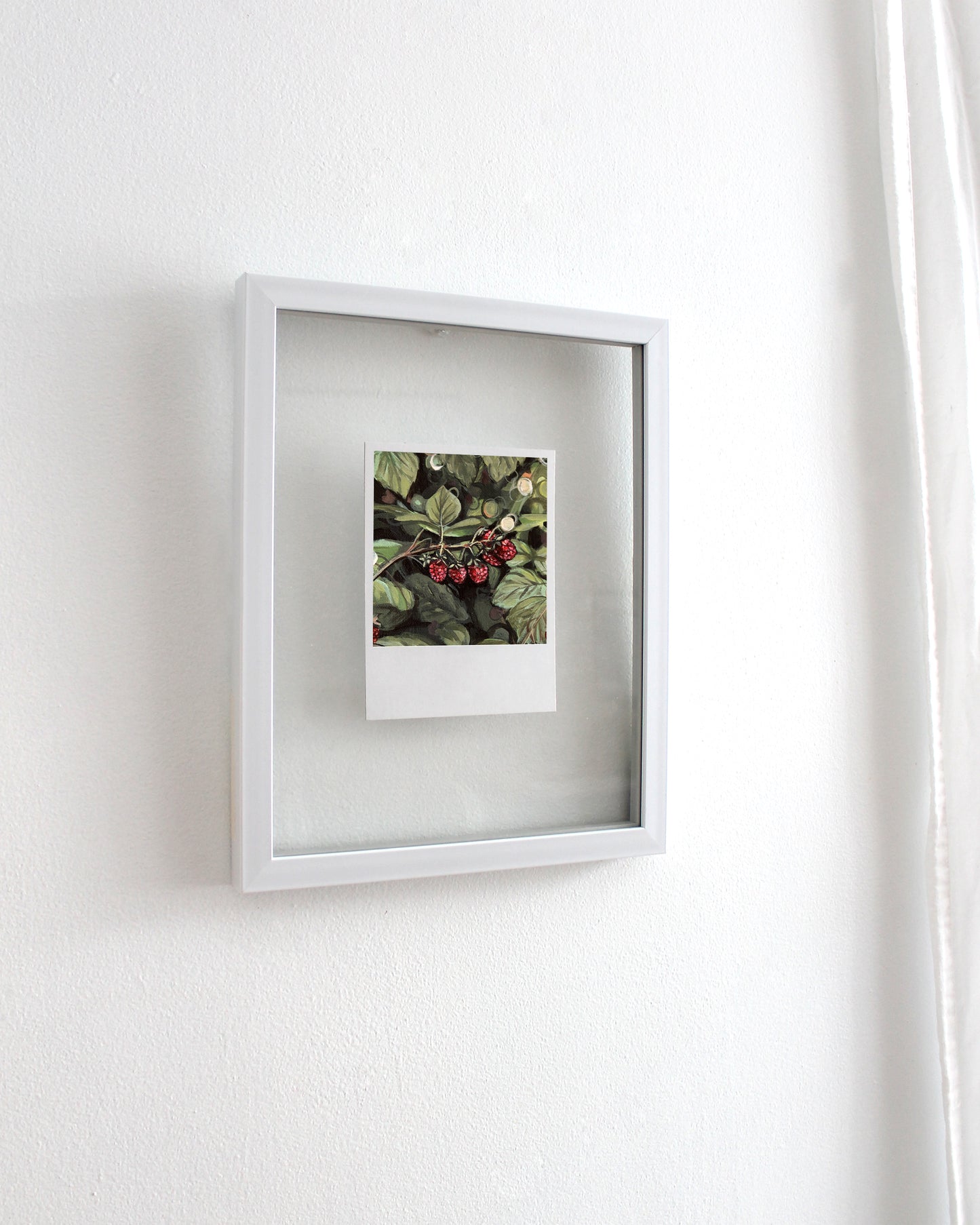 Raspberries - Polaroid