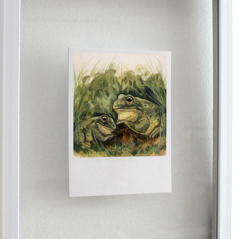 Frogs - Polaroid