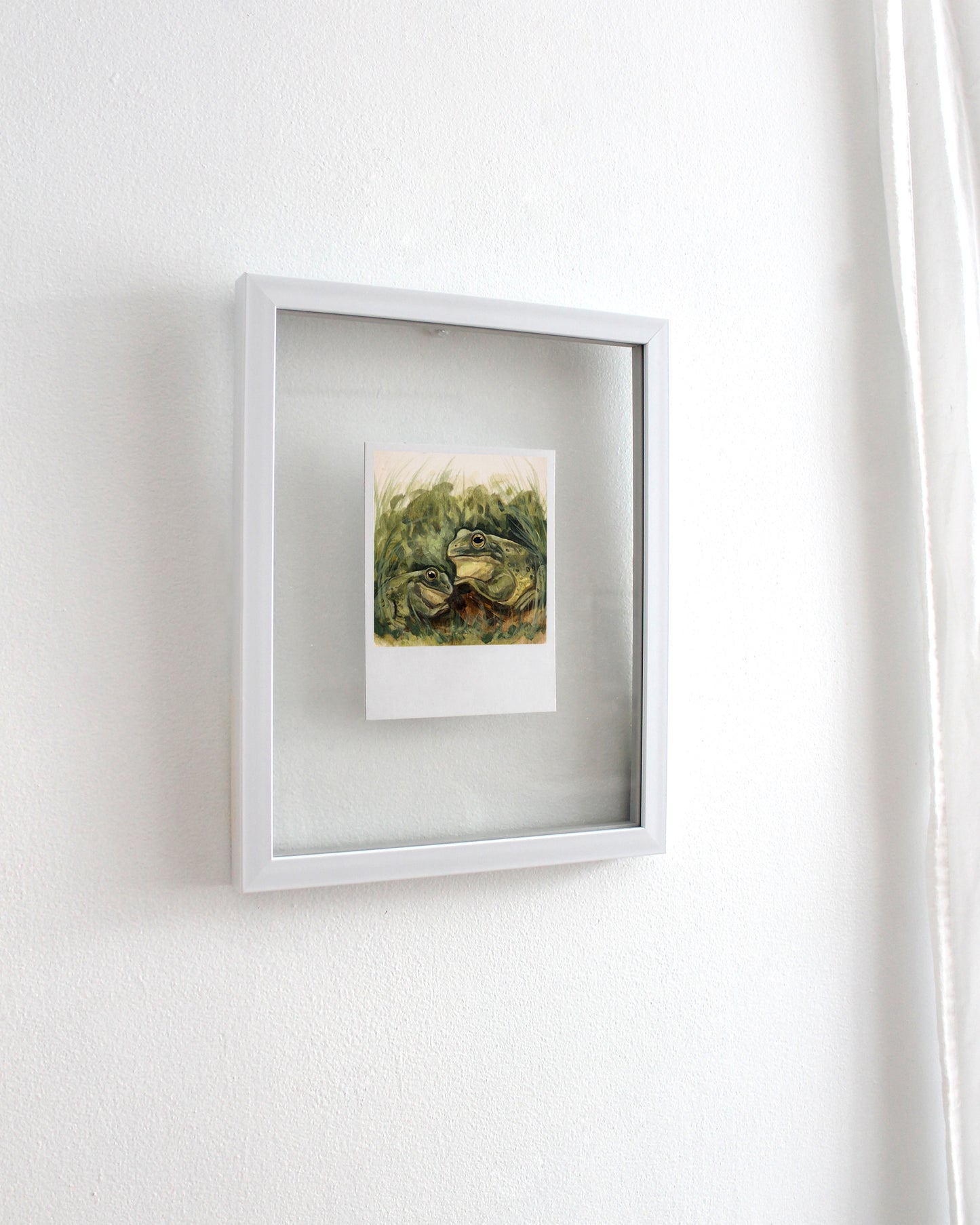 Frogs - Polaroid