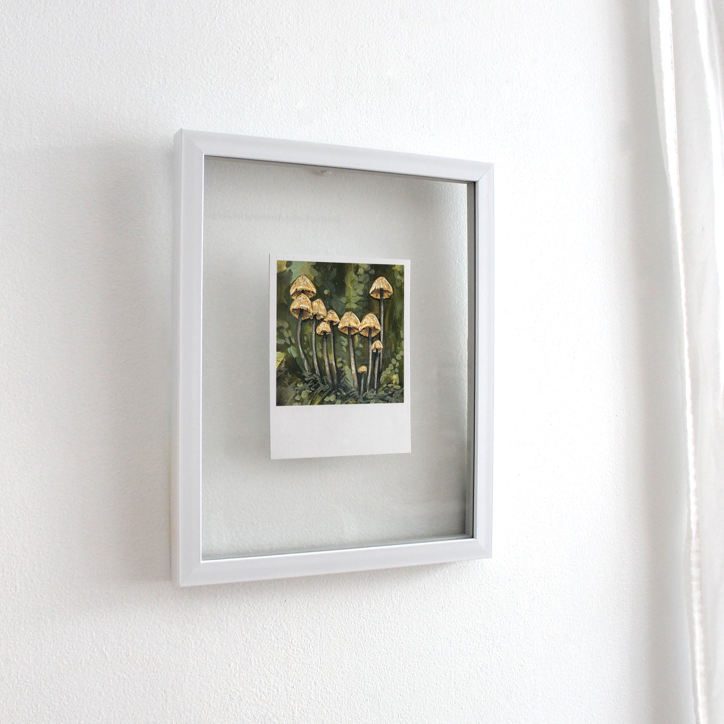 Mushrooms - Polaroid