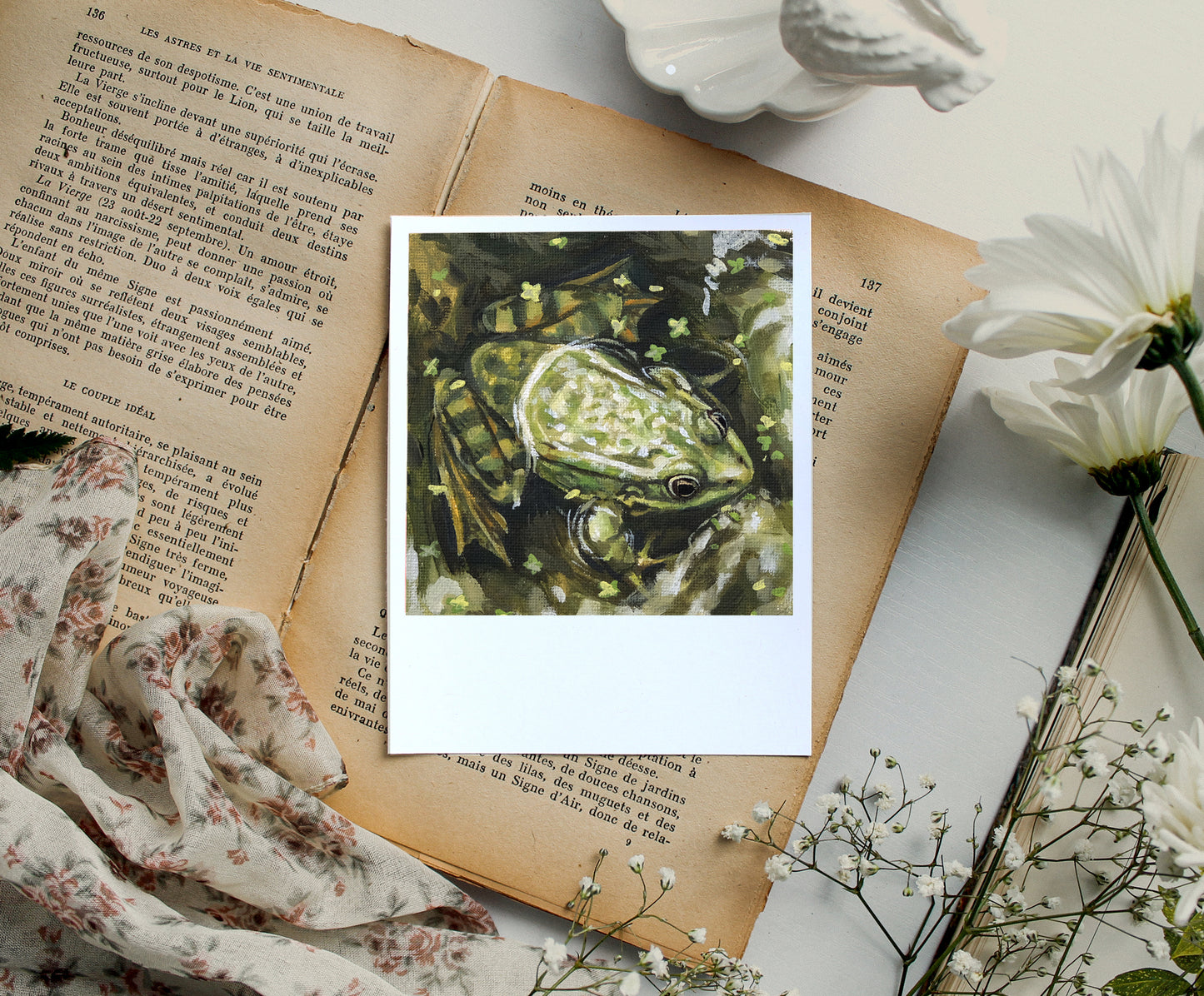 Green Frog - Polaroid