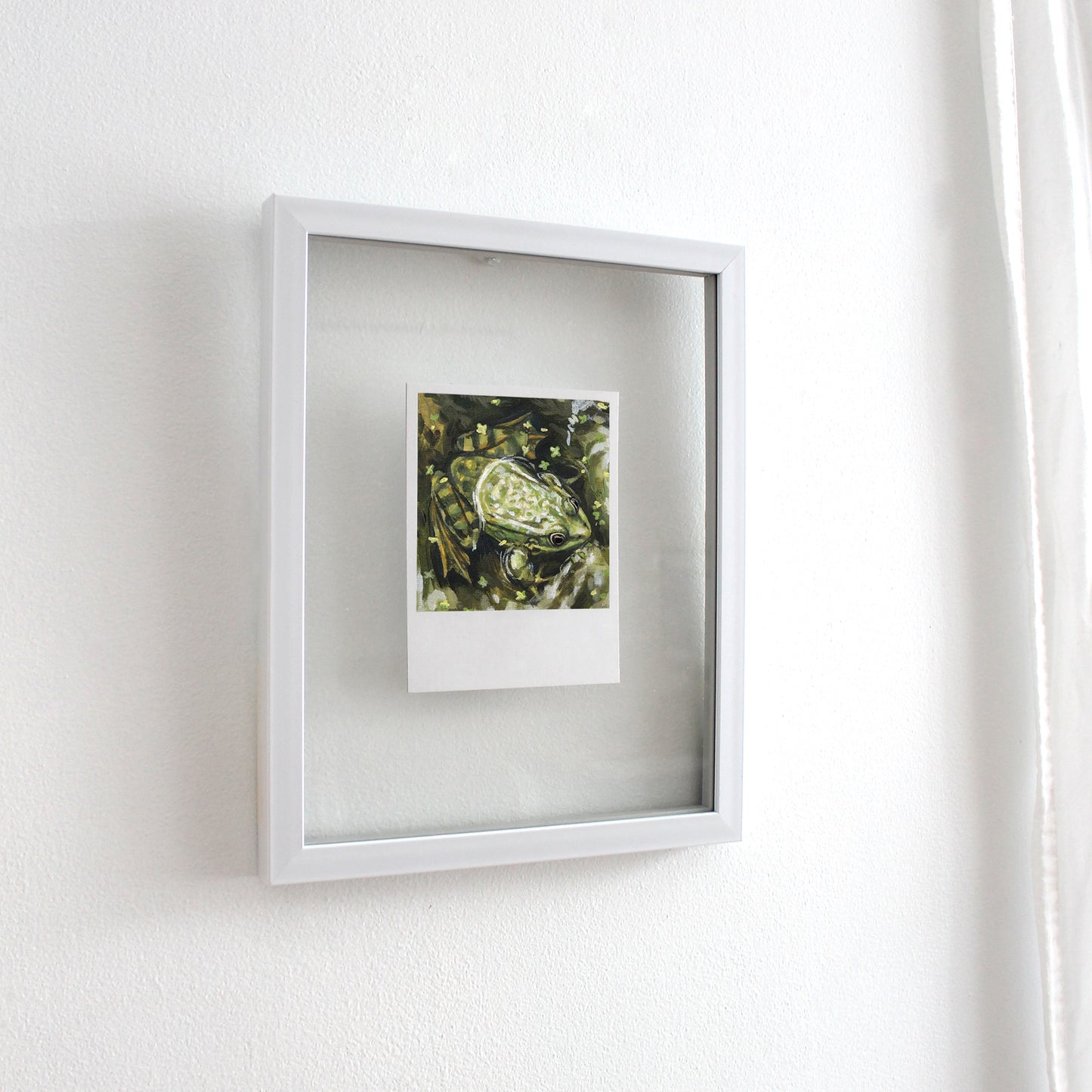Green Frog - Polaroid
