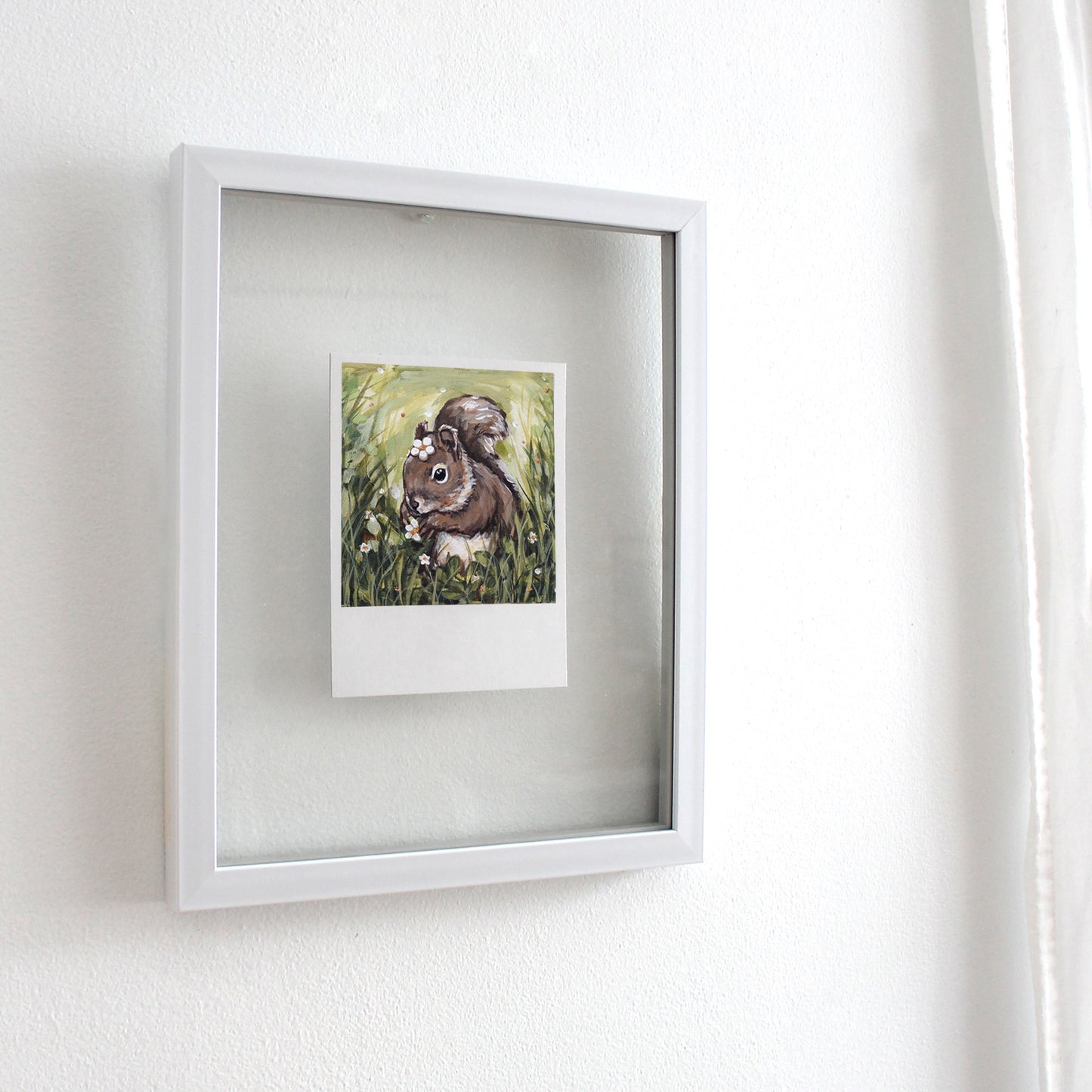 Squirrel - Polaroid