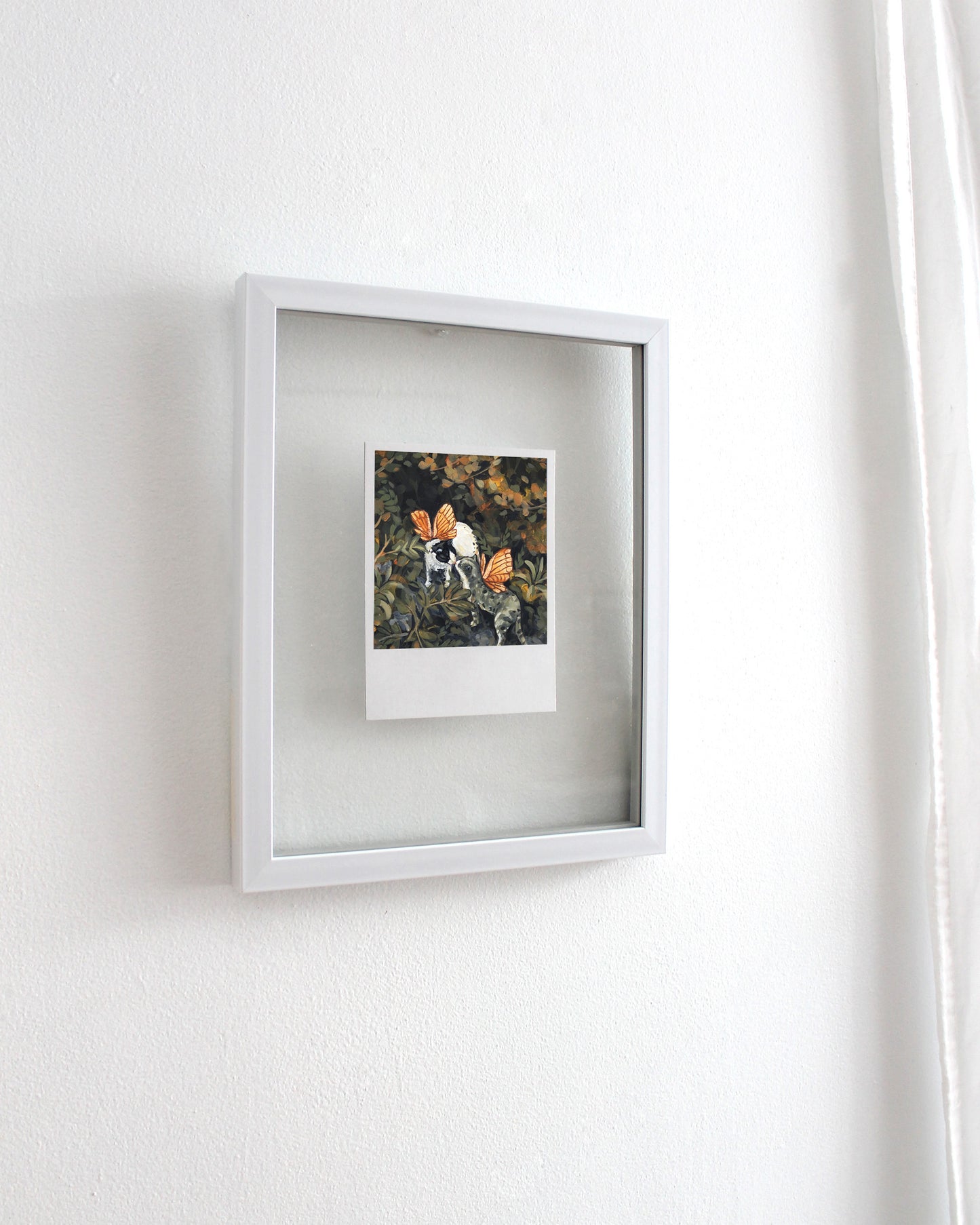Fairy Cats - Polaroid