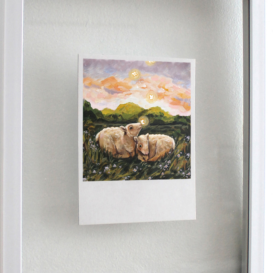 Sheep - Polaroid