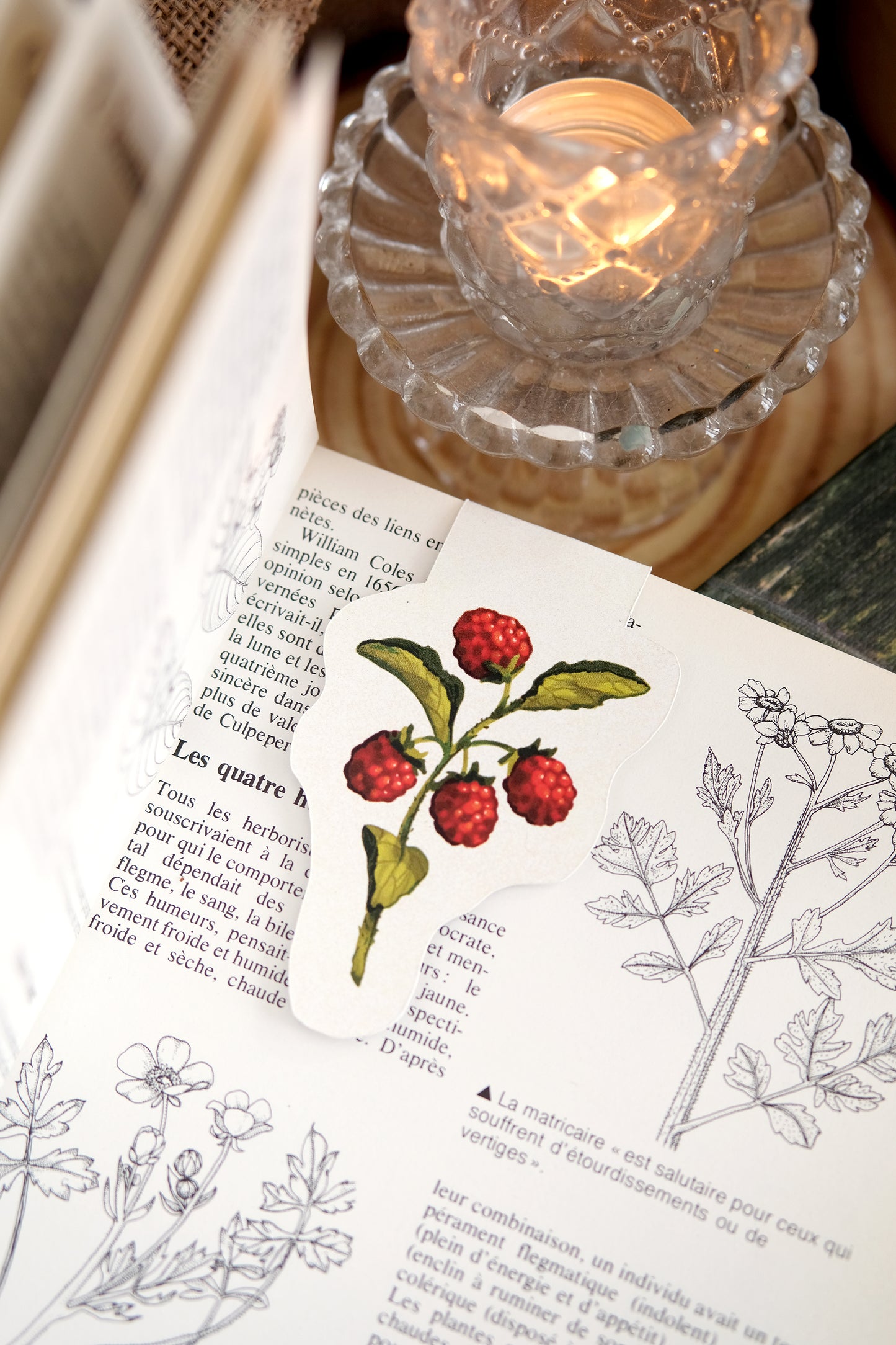 Framboises - Marque-page