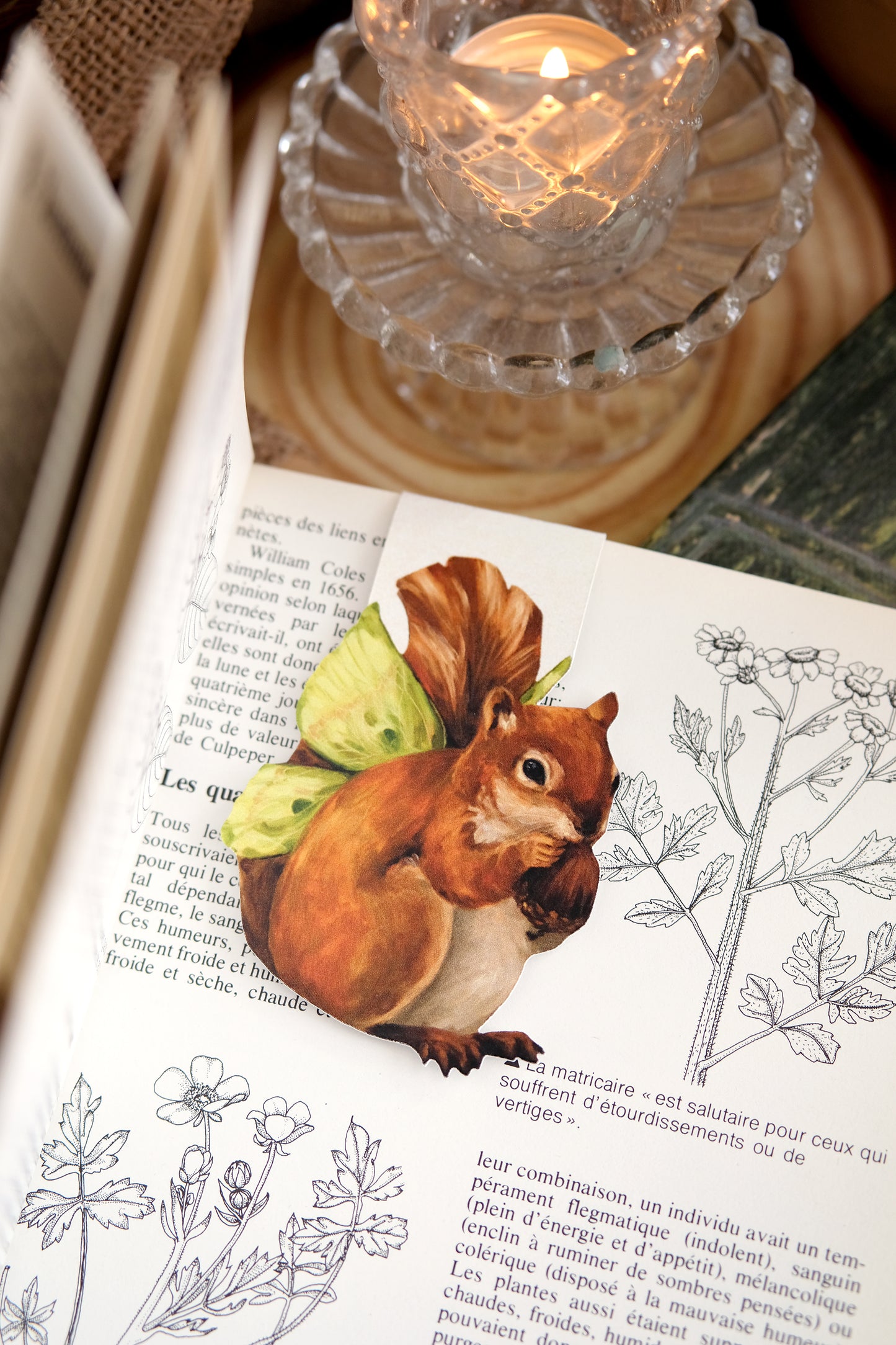 Fairy Squirrel - Bookmark