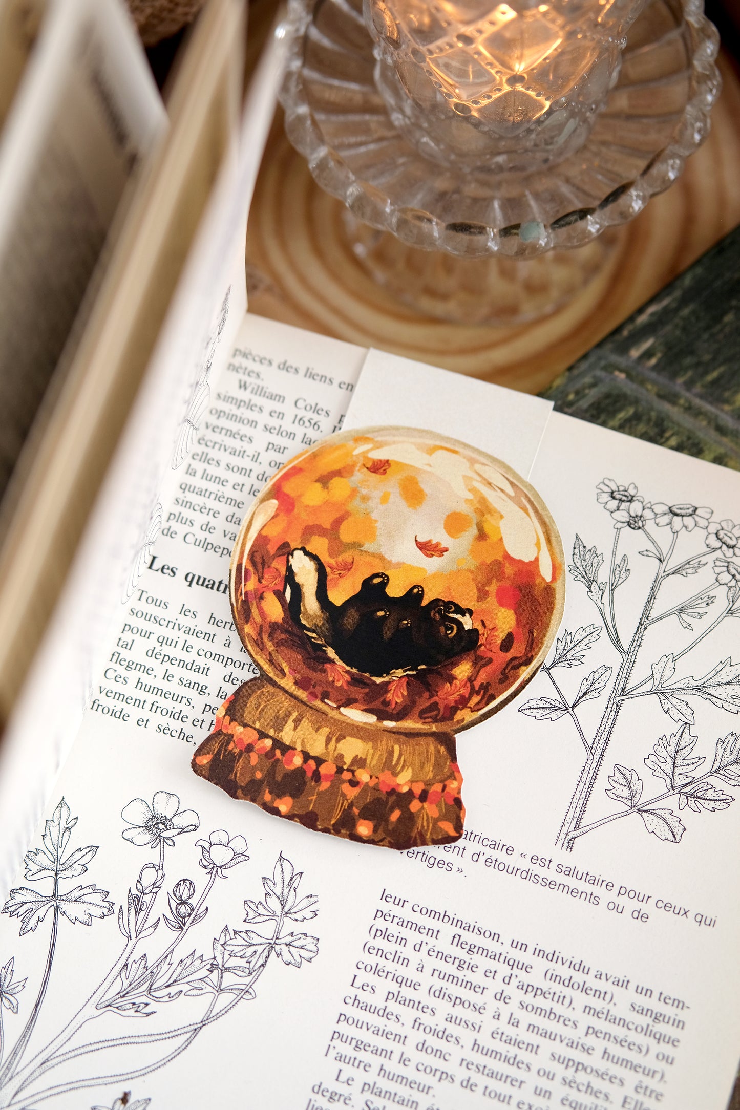 Fall Globe - Bookmark