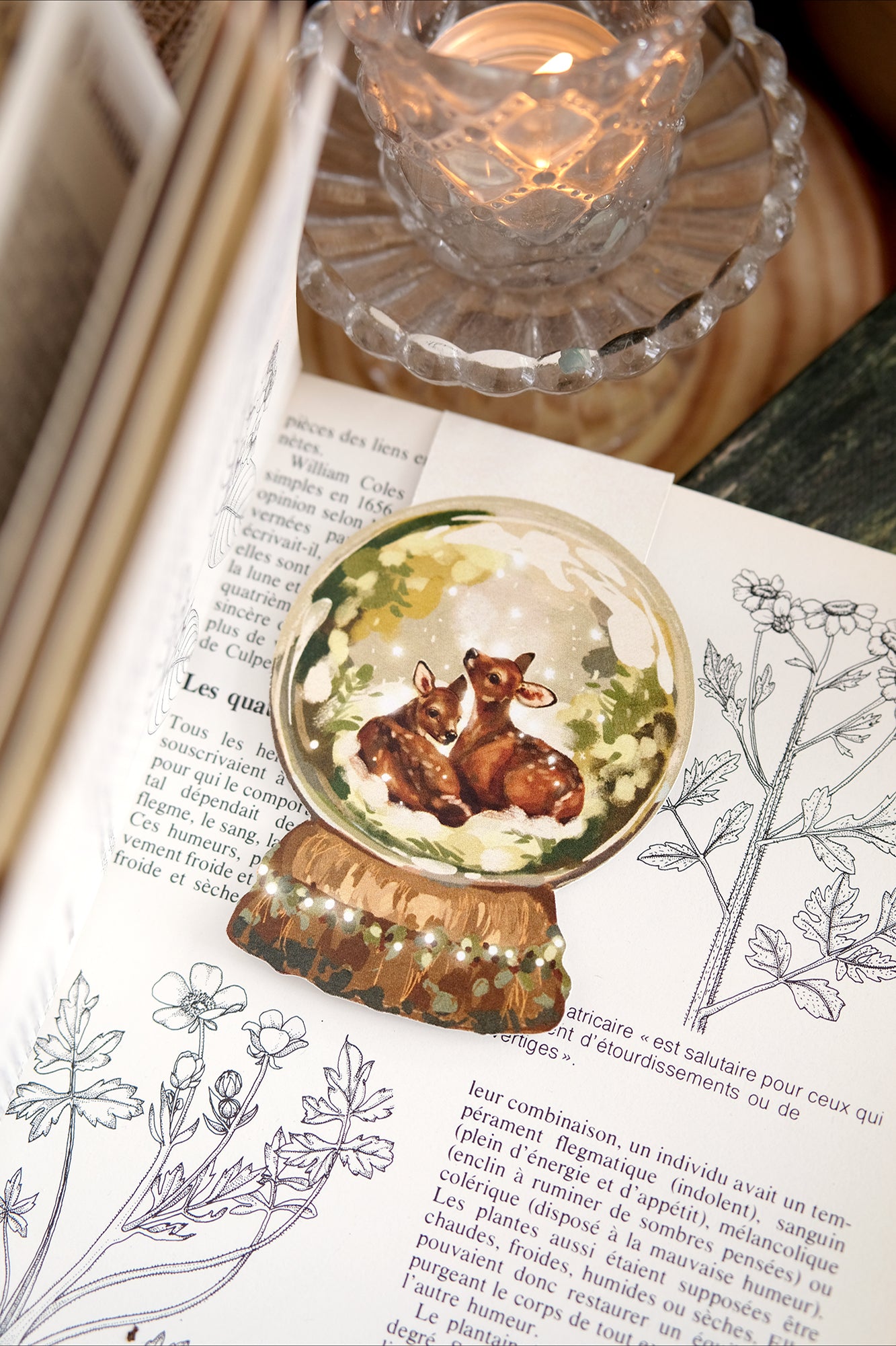 Globe d'hiver - Marque-page