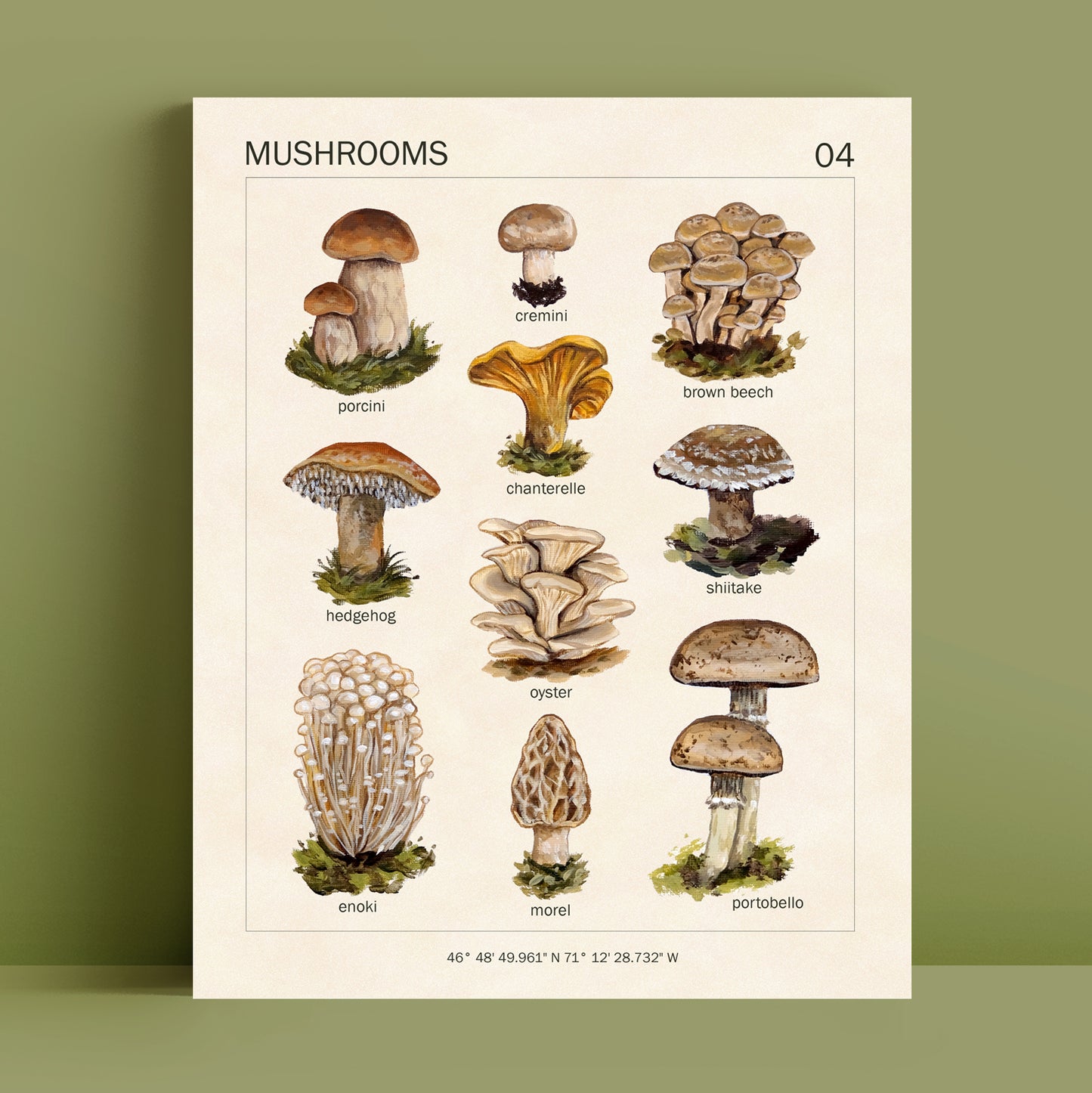 Mushrooms - Art Print