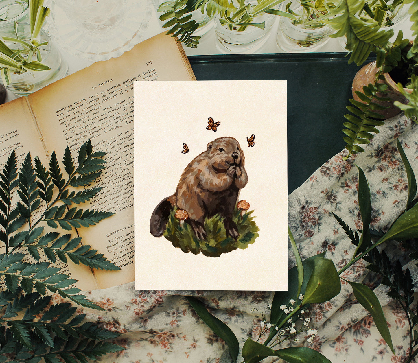 Beaver - Art Print