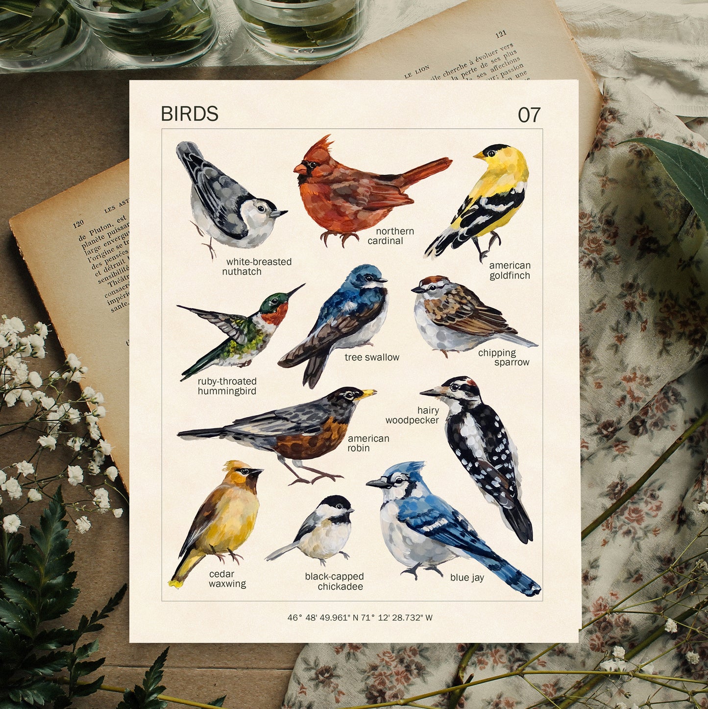 Birds - Art Print