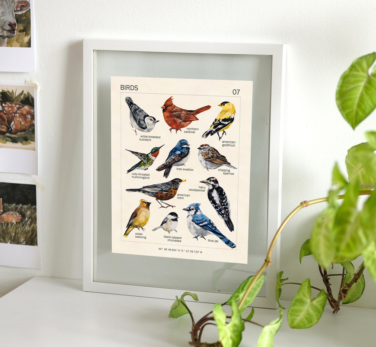 Birds - Art Print