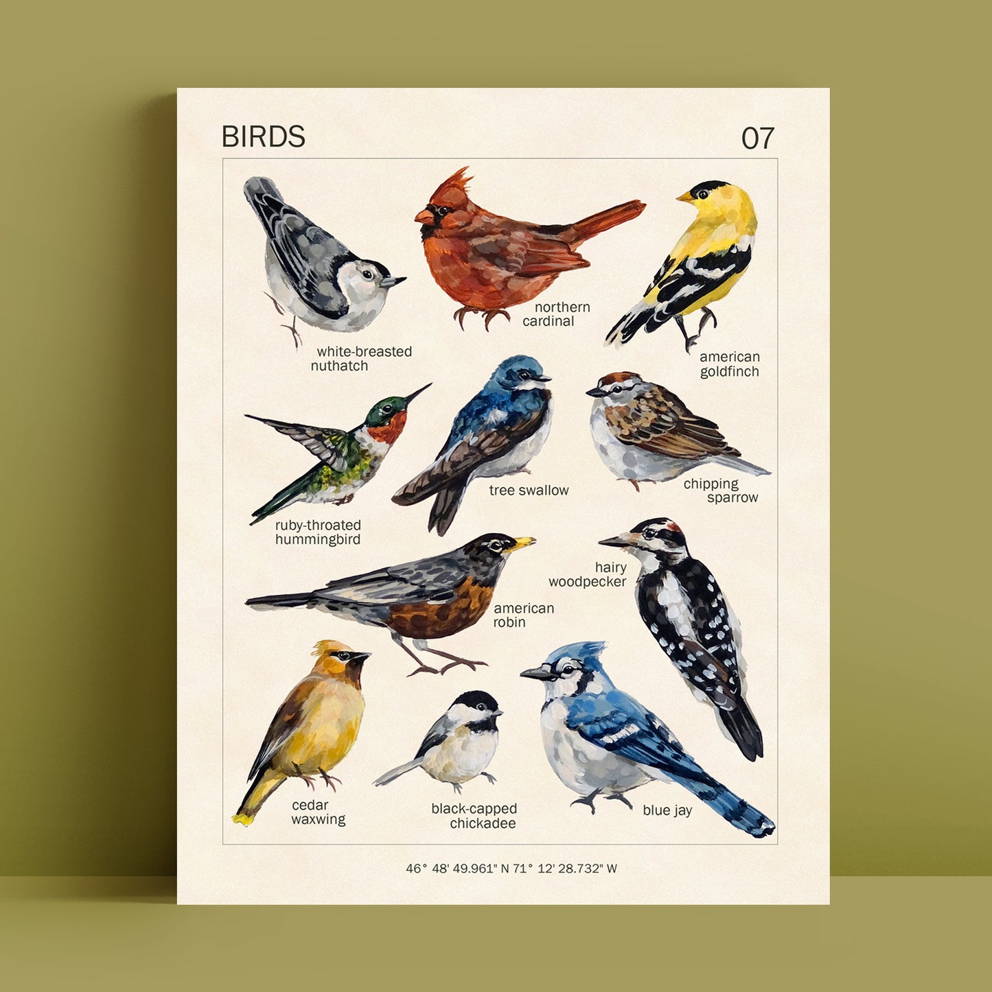 Birds - Art Print