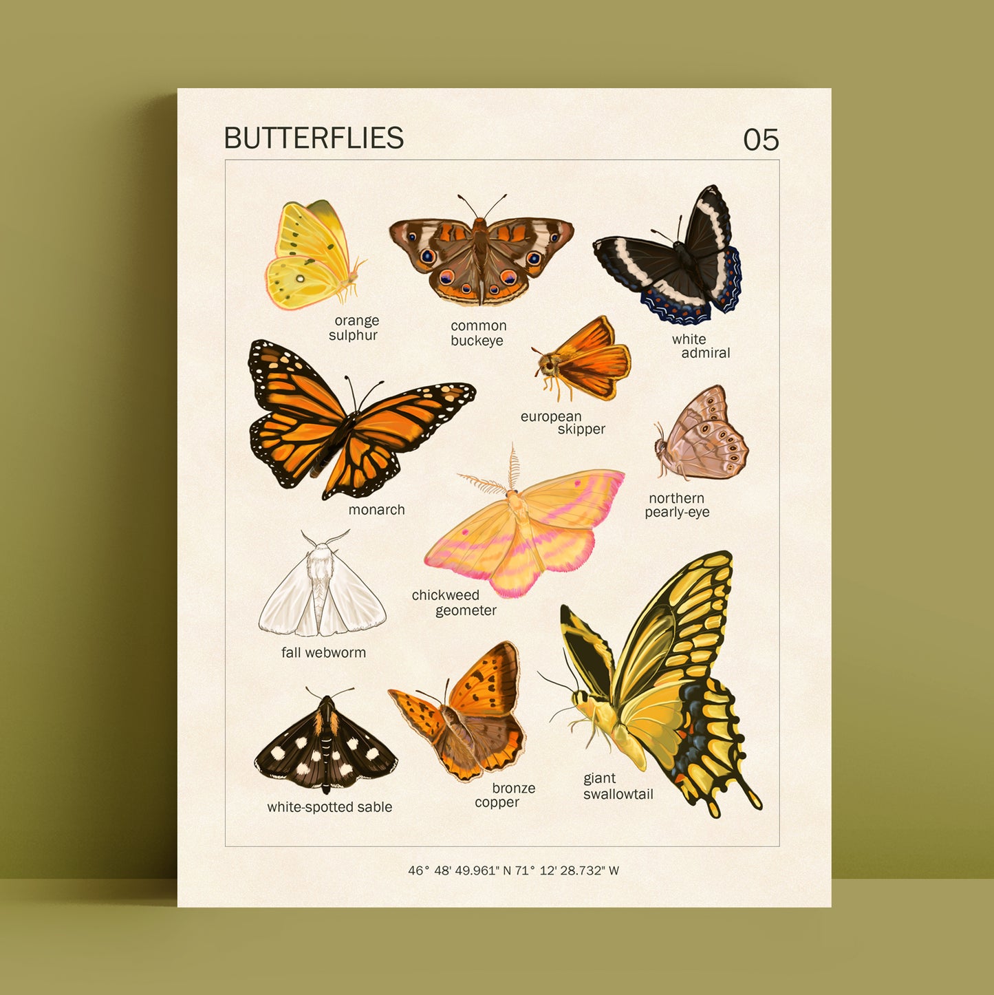 Butterflies - Art Print
