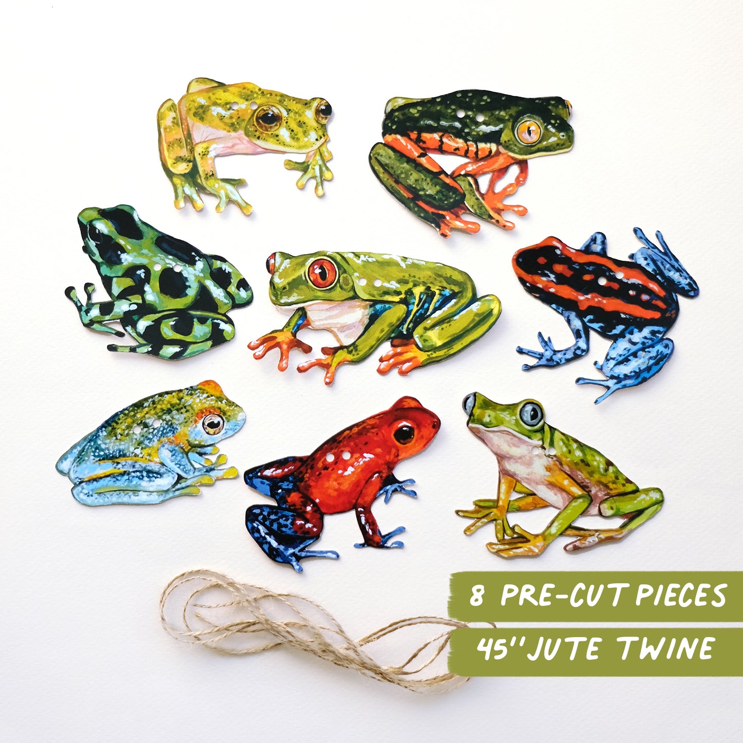 Grenouilles - Kit de guirlande DIY