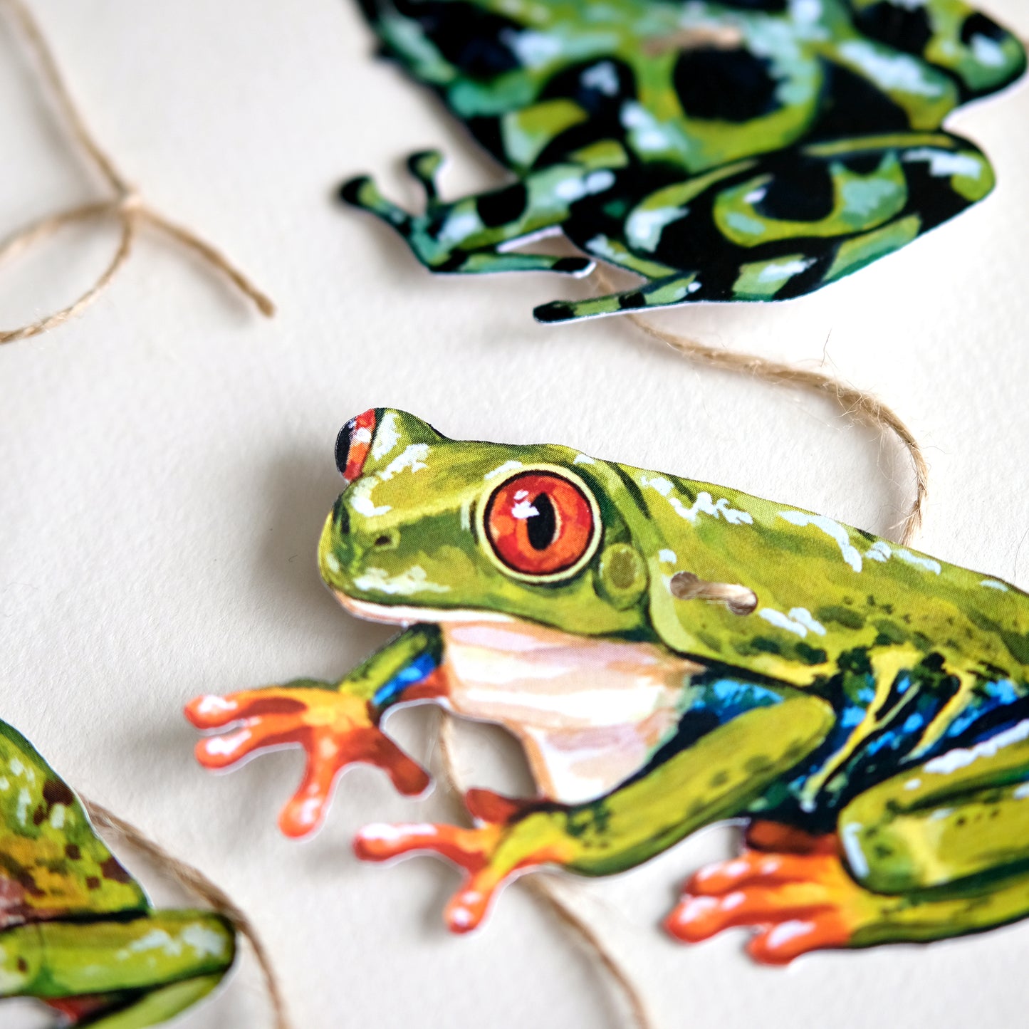 Grenouilles - Kit de guirlande DIY