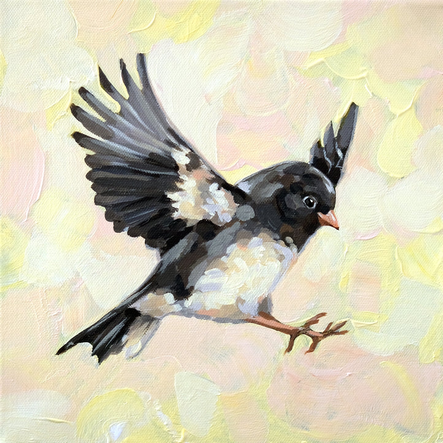 Dark-Eyed Junco - Original