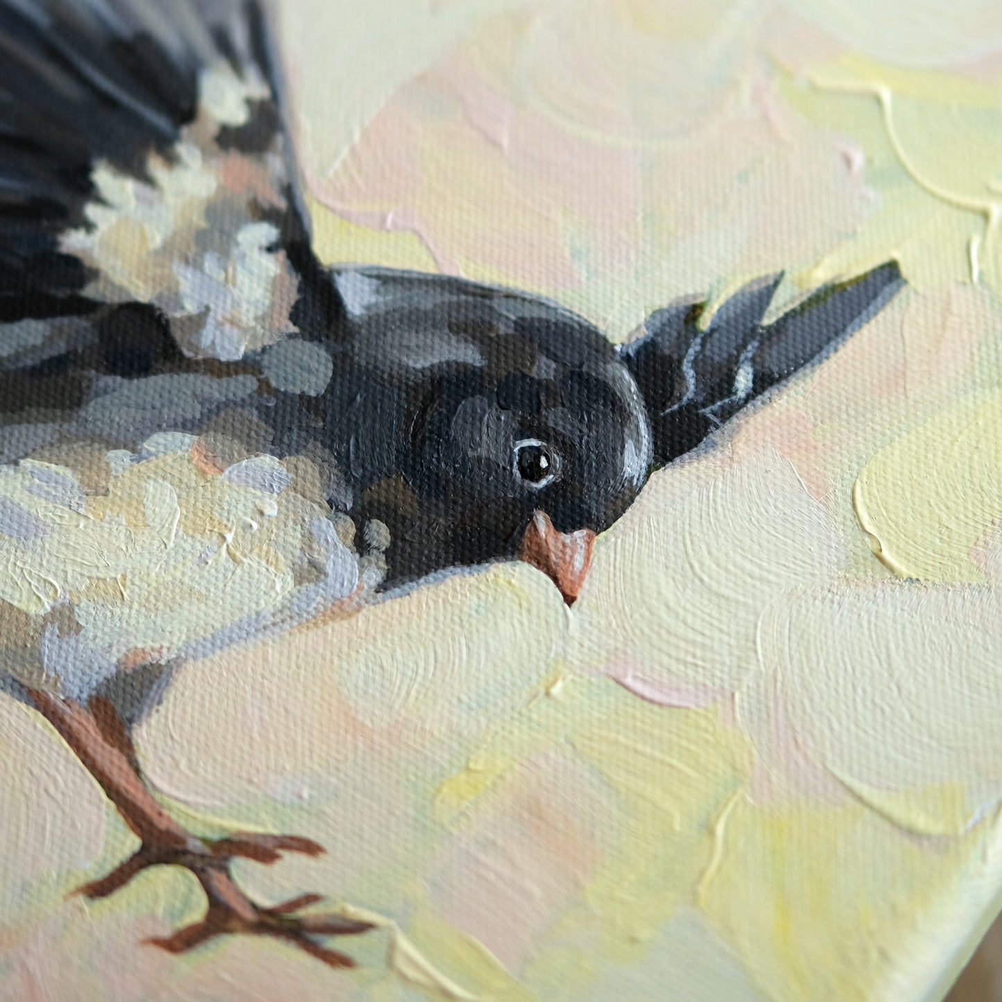 Dark-Eyed Junco - Original