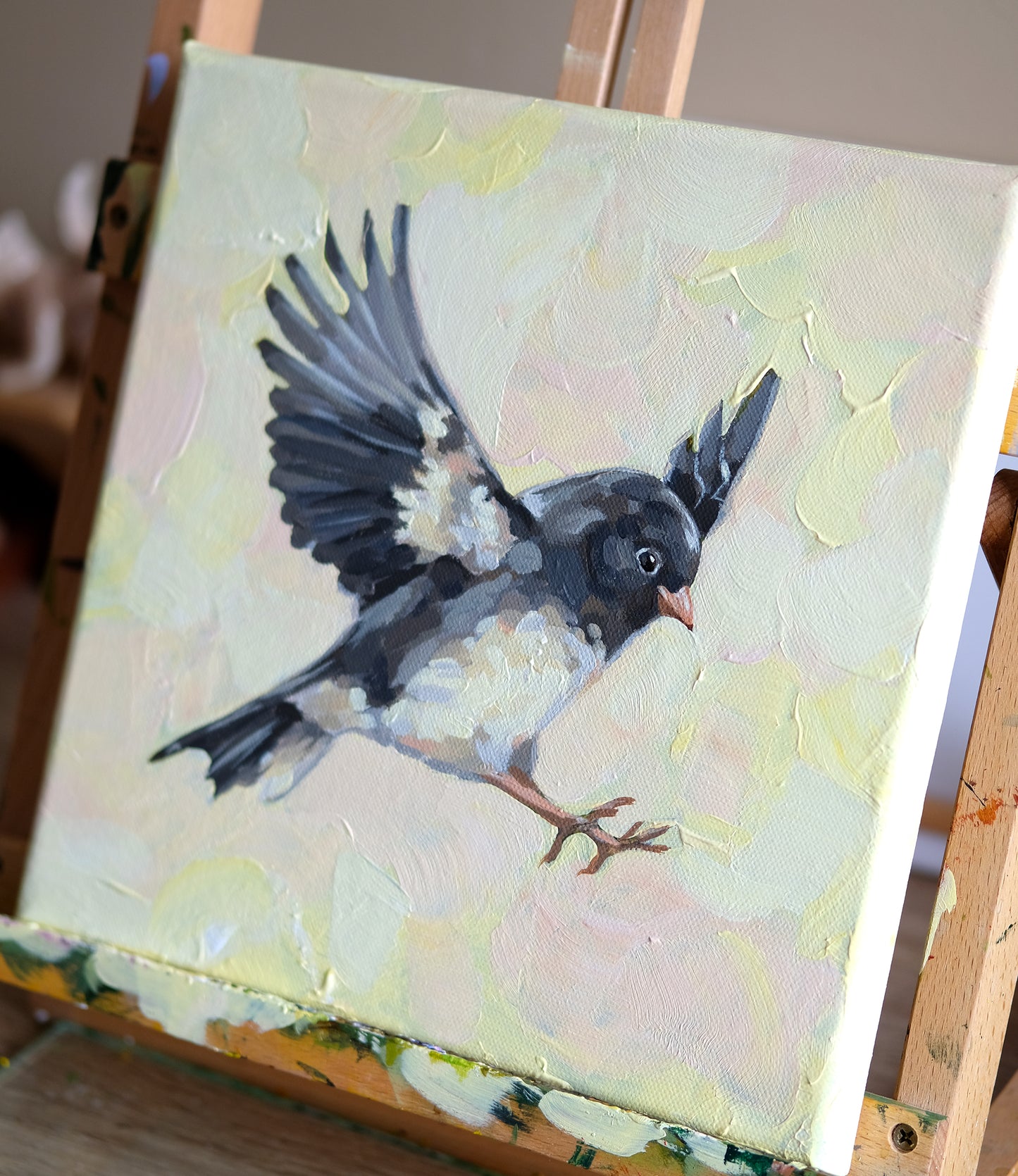 Dark-Eyed Junco - Original