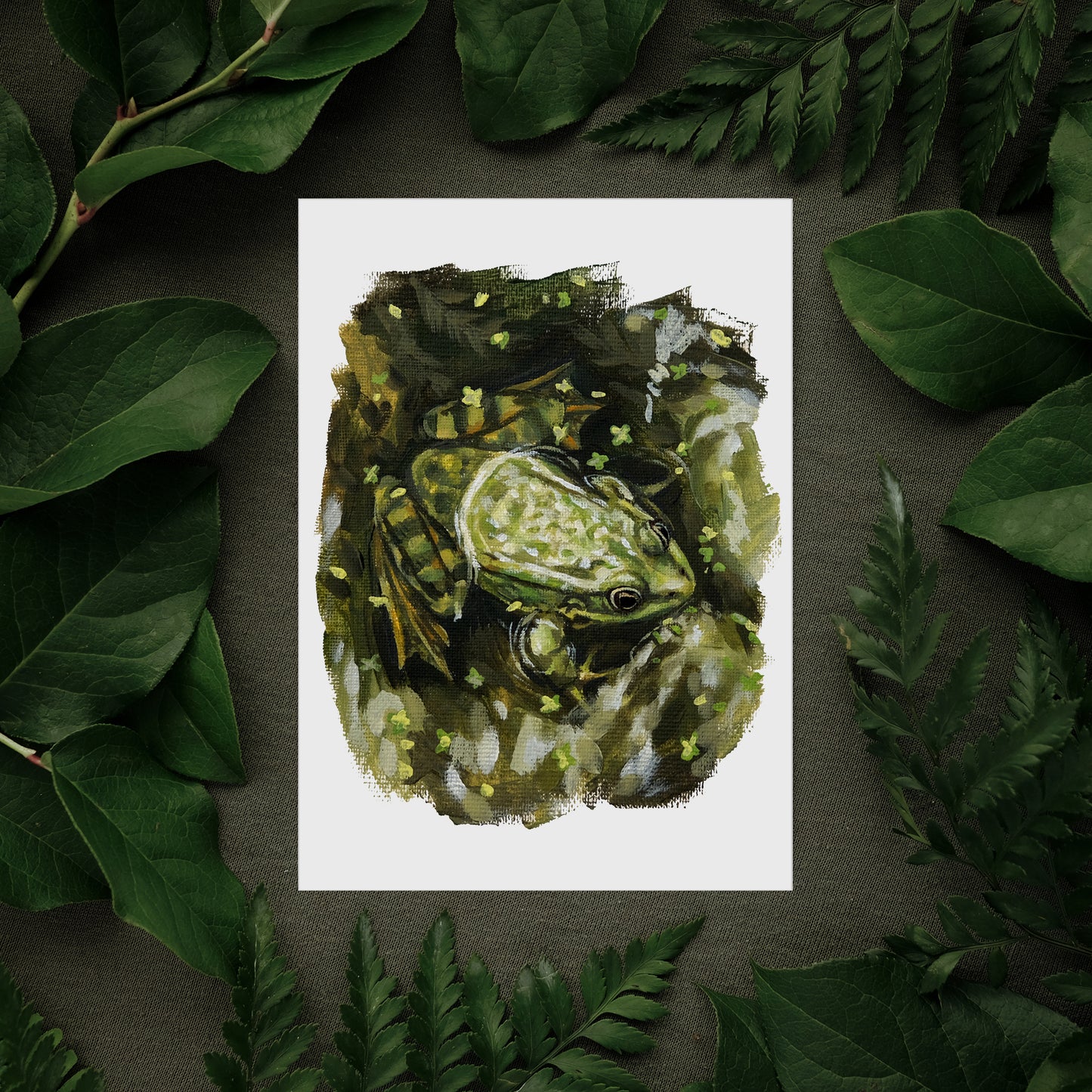 Frog Water - Art Print