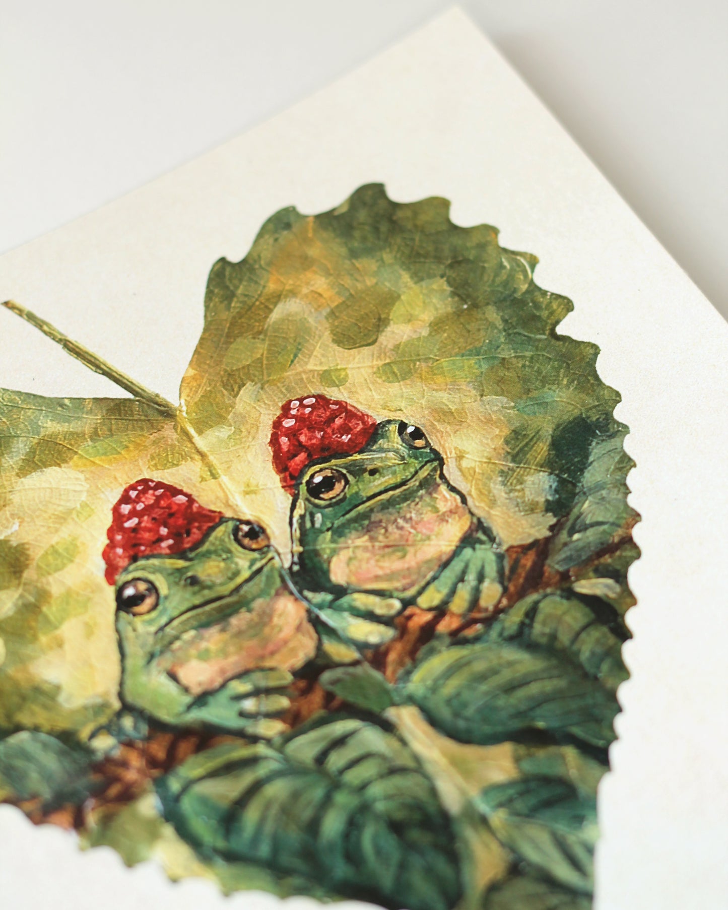 Frog Leaf - Art Print