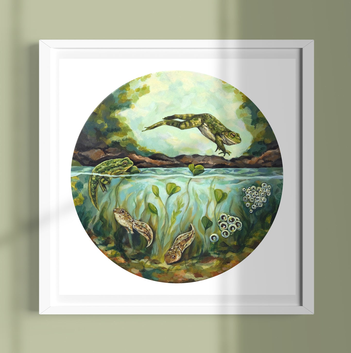 Frog Life Cycle - Art Print