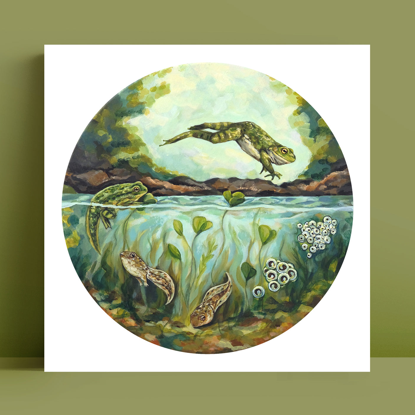 Frog Life Cycle - Art Print