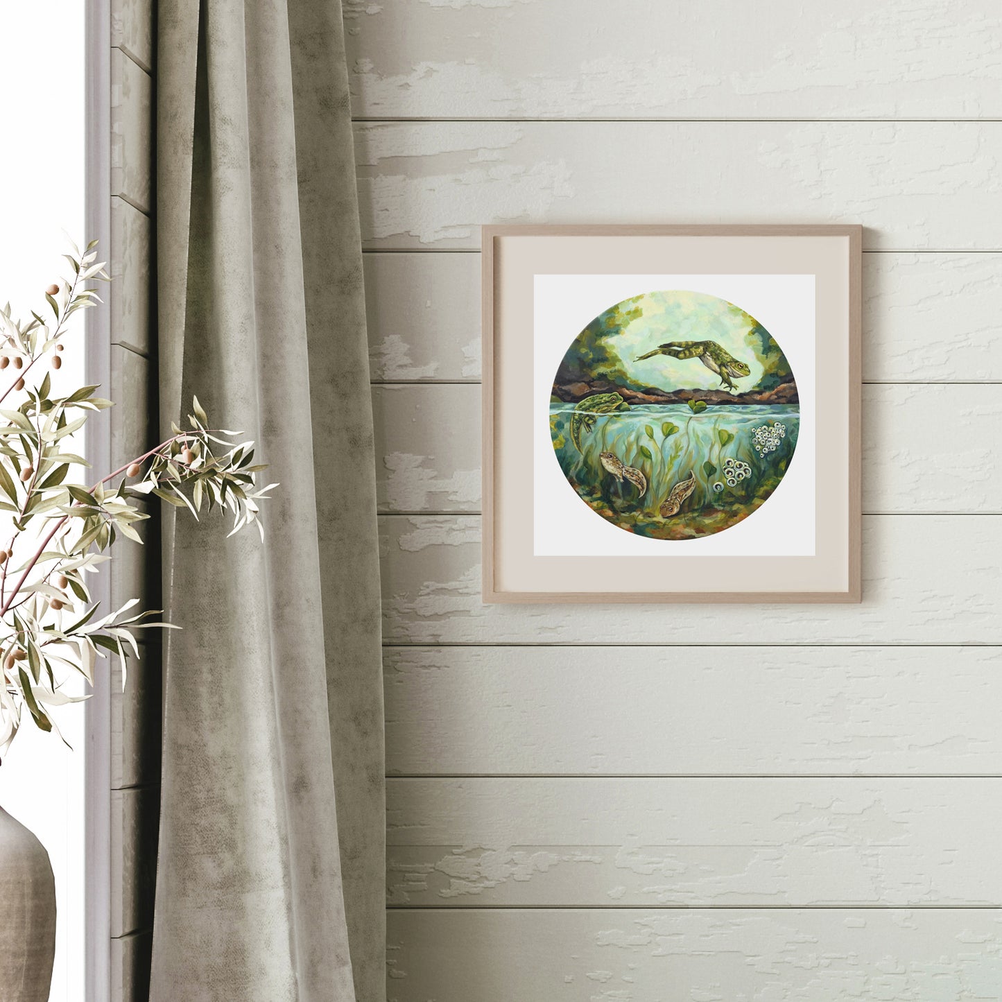 Frog Life Cycle - Art Print