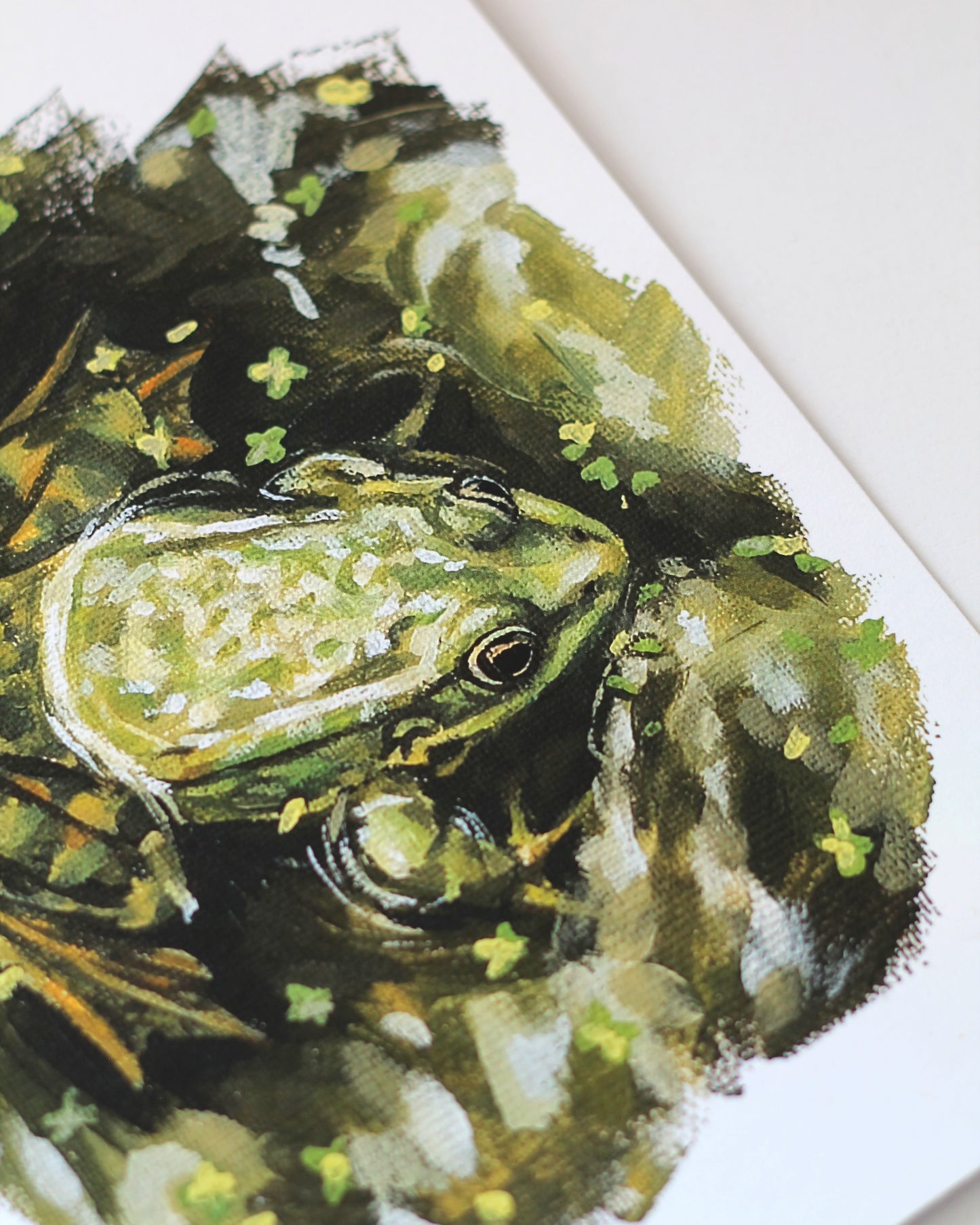Frog Water - Art Print