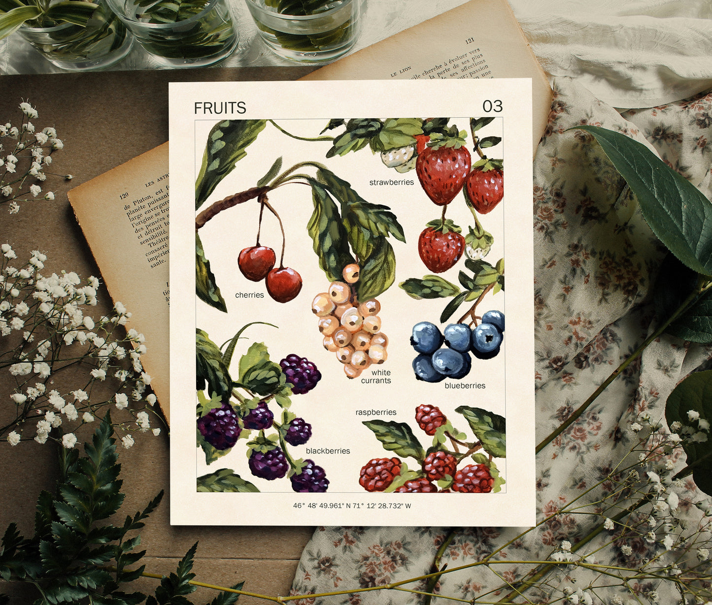 Fruits - Art Print