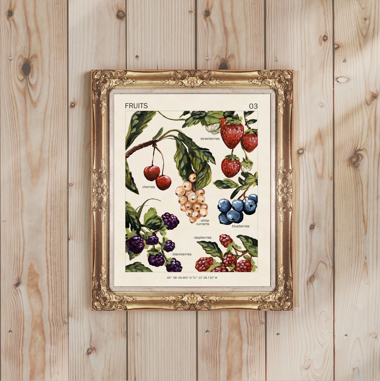 Fruits - Art Print