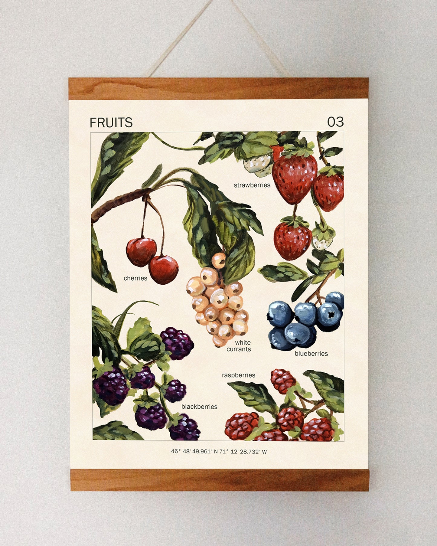 Fruits - Art Print