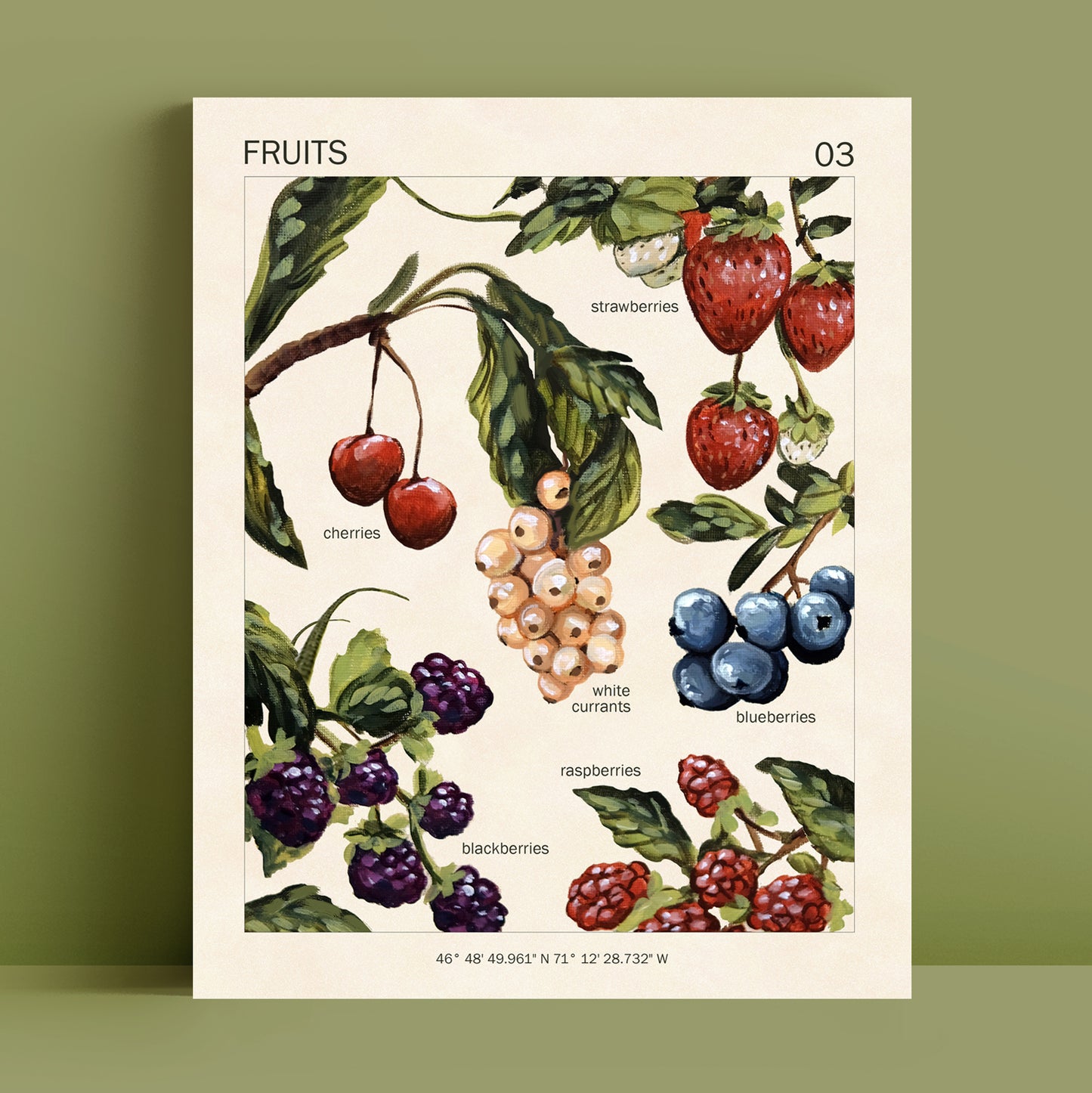 Fruits - Art Print