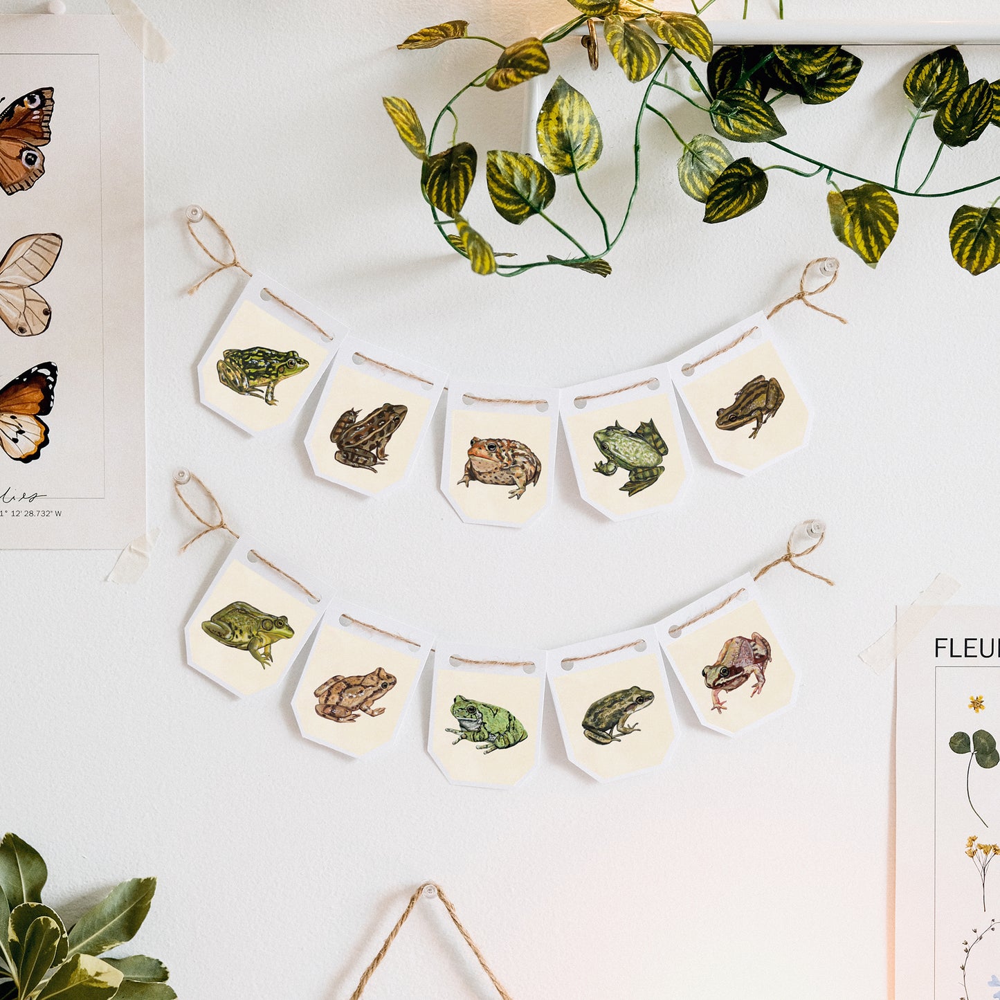 Frogs - DIY Garland Kit