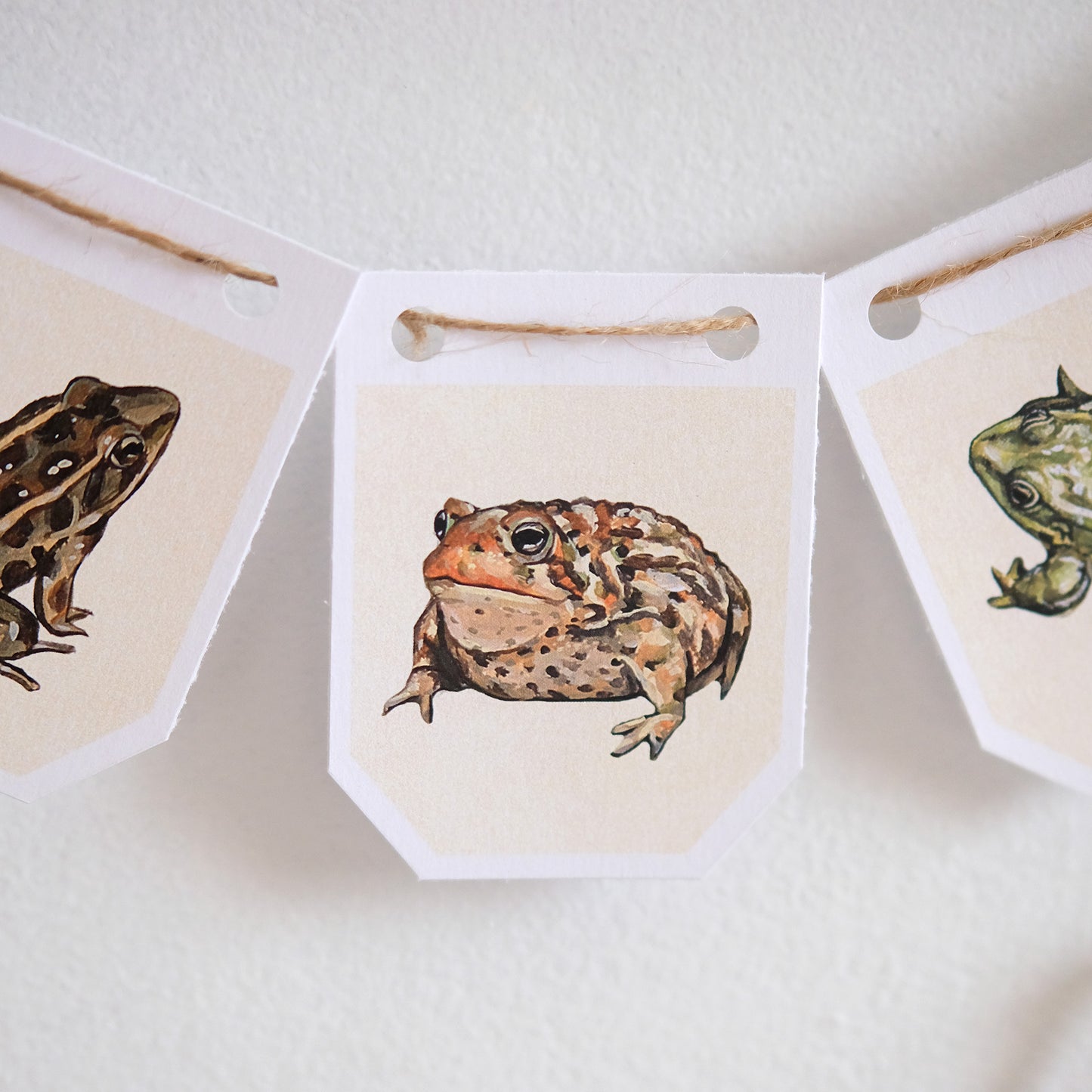 Frogs - DIY Garland Kit
