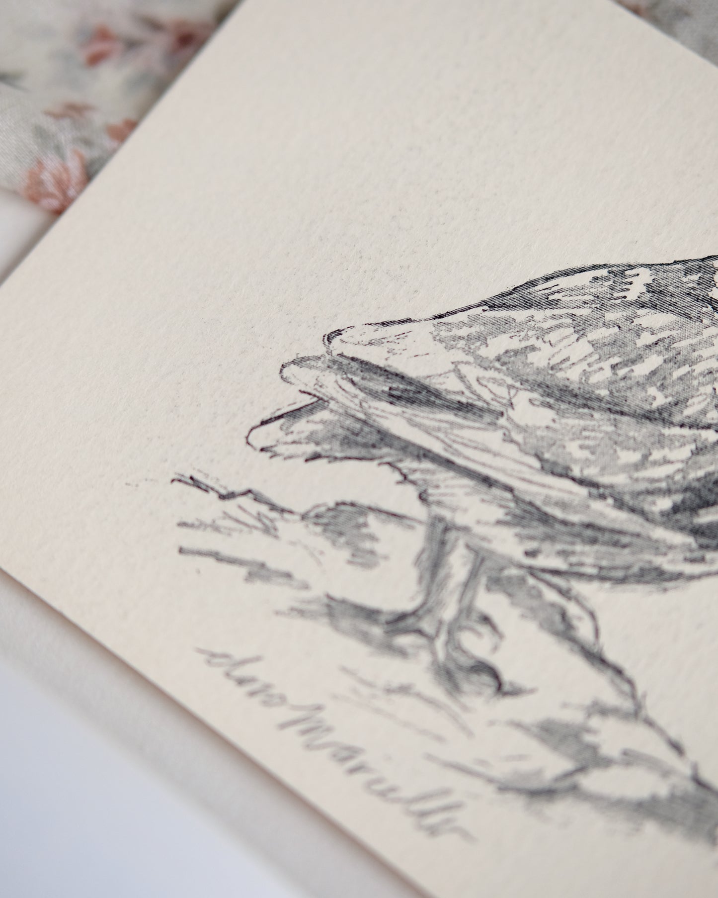 Petite chouette - Impression