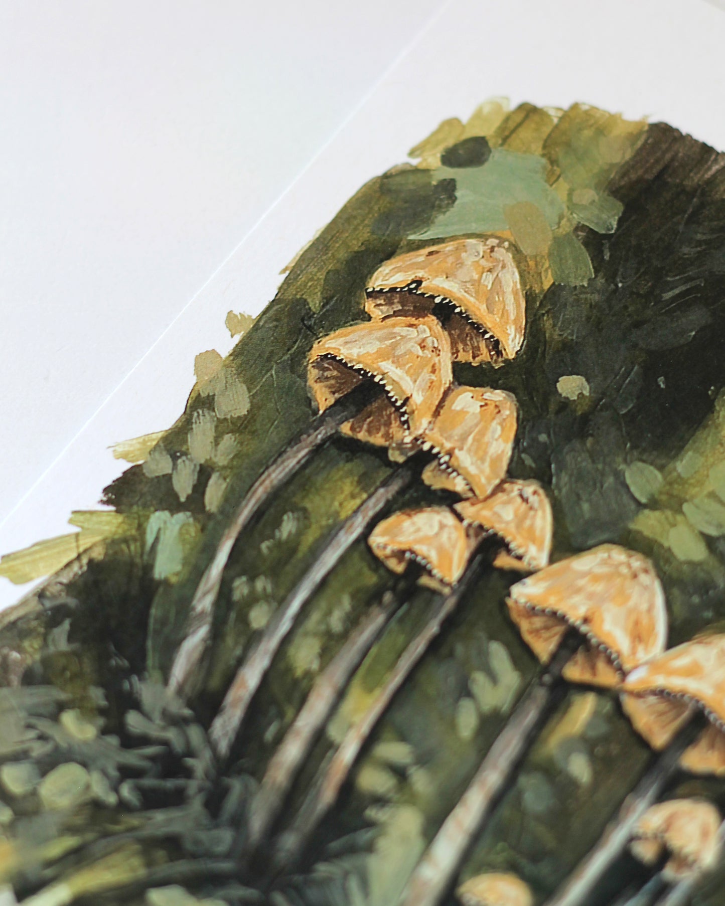 Champignons - Impression d'art
