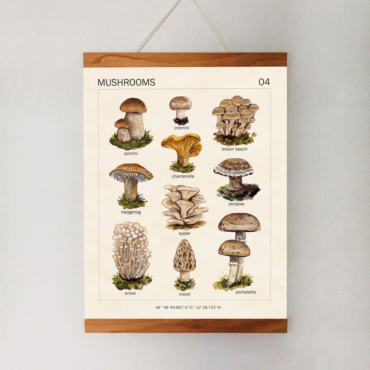 Mushrooms - Art Print