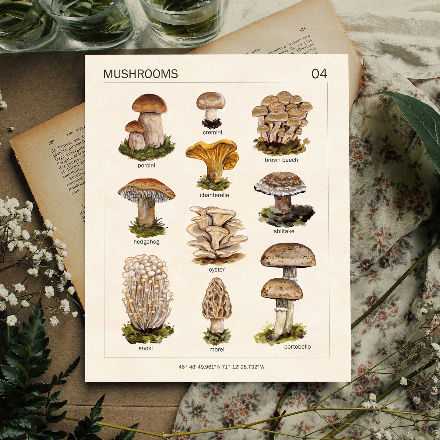 Mushrooms - Art Print