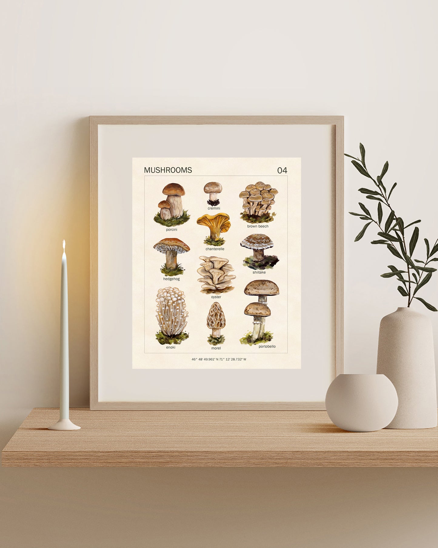 Mushrooms - Art Print