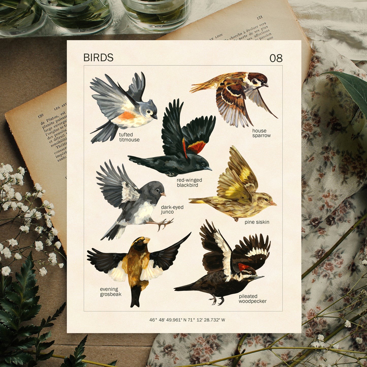 Flying Birds - Art Print