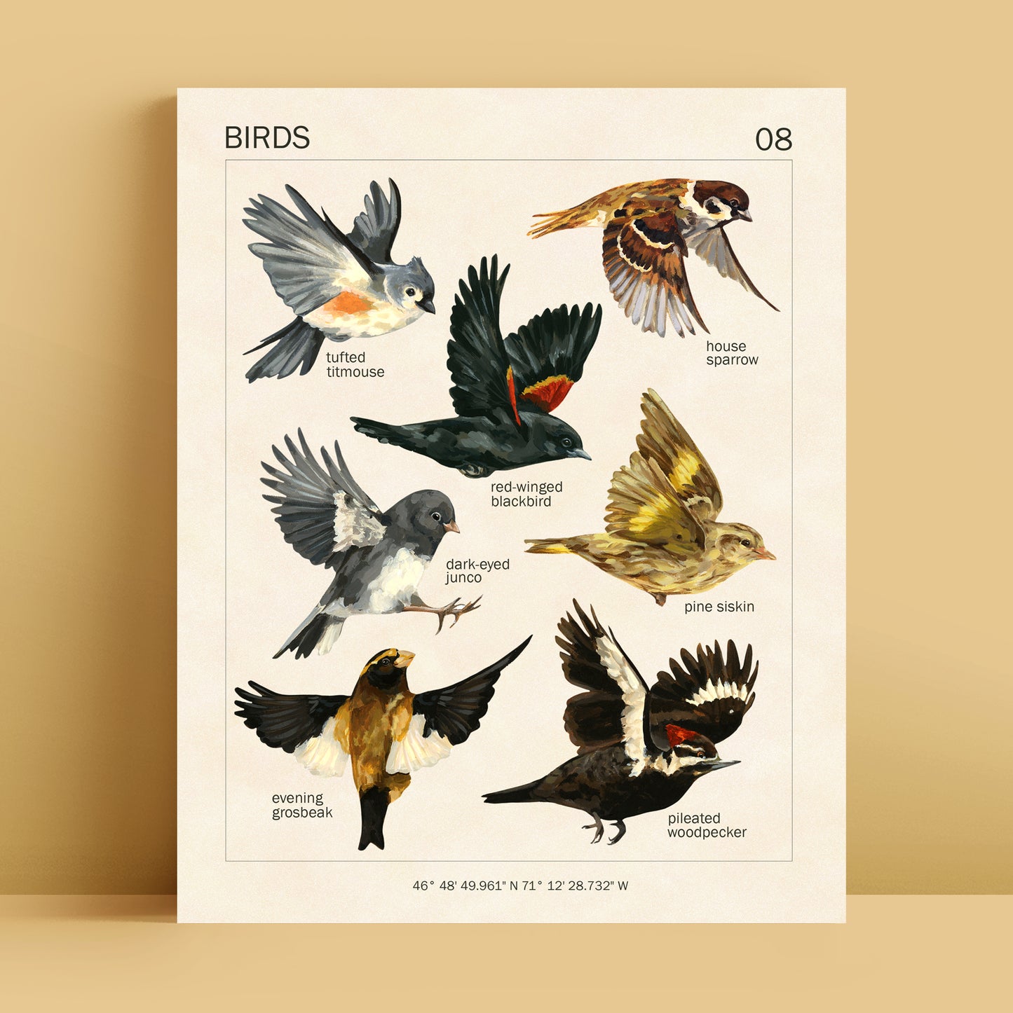 Flying Birds - Art Print